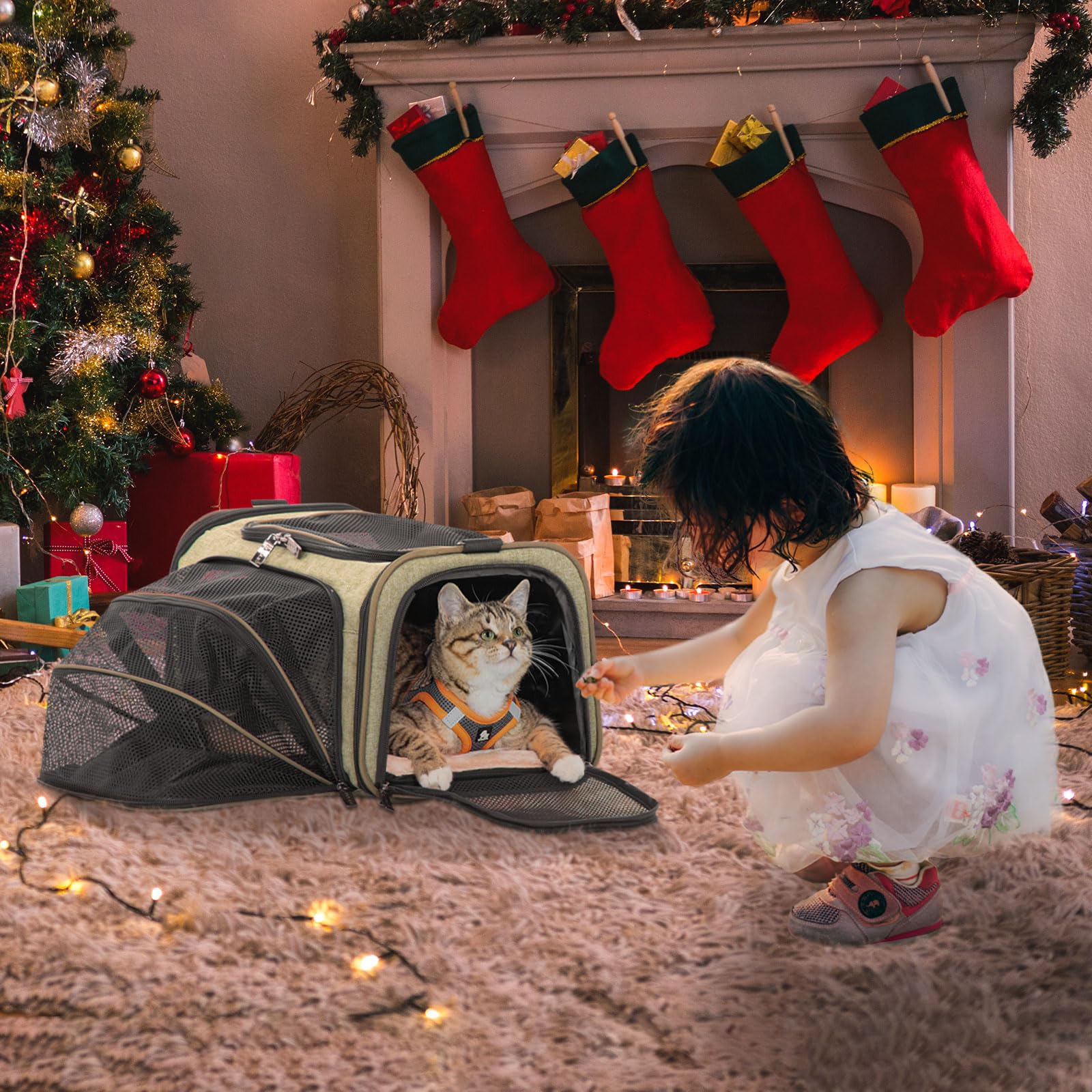 Petsfit Expandable Rabbit Carrier Small Cat Carrier Airline Approved, 16X10X9 Inches Soft-Sided Portable Small Animal Travel Bag For Kitten/Puppy/Bunny/Guinea Pig