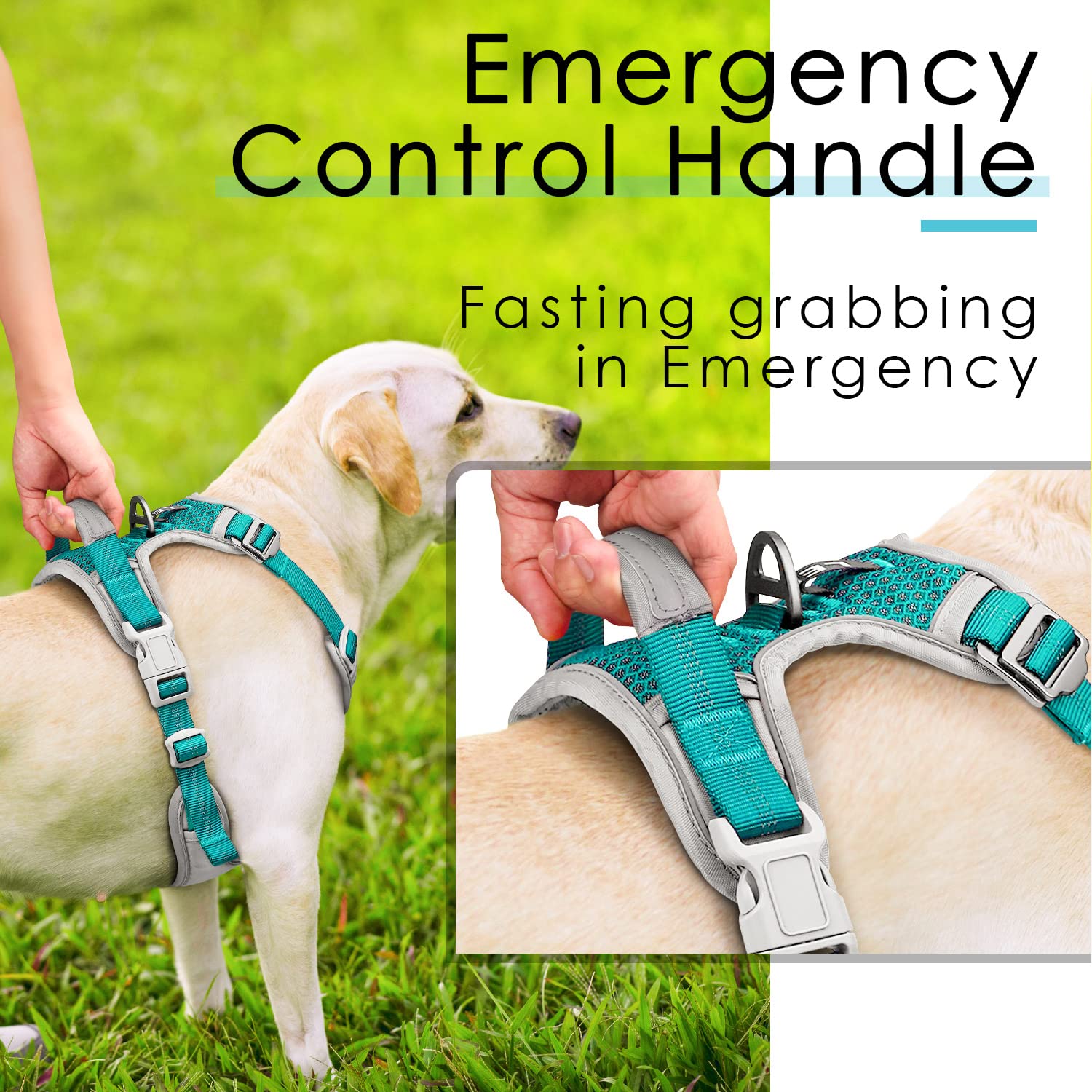 Thinkpet No Pull Harness For Small Medium Large Dogs, Reflective Padded Vest With Handle, Adjustable Star Style