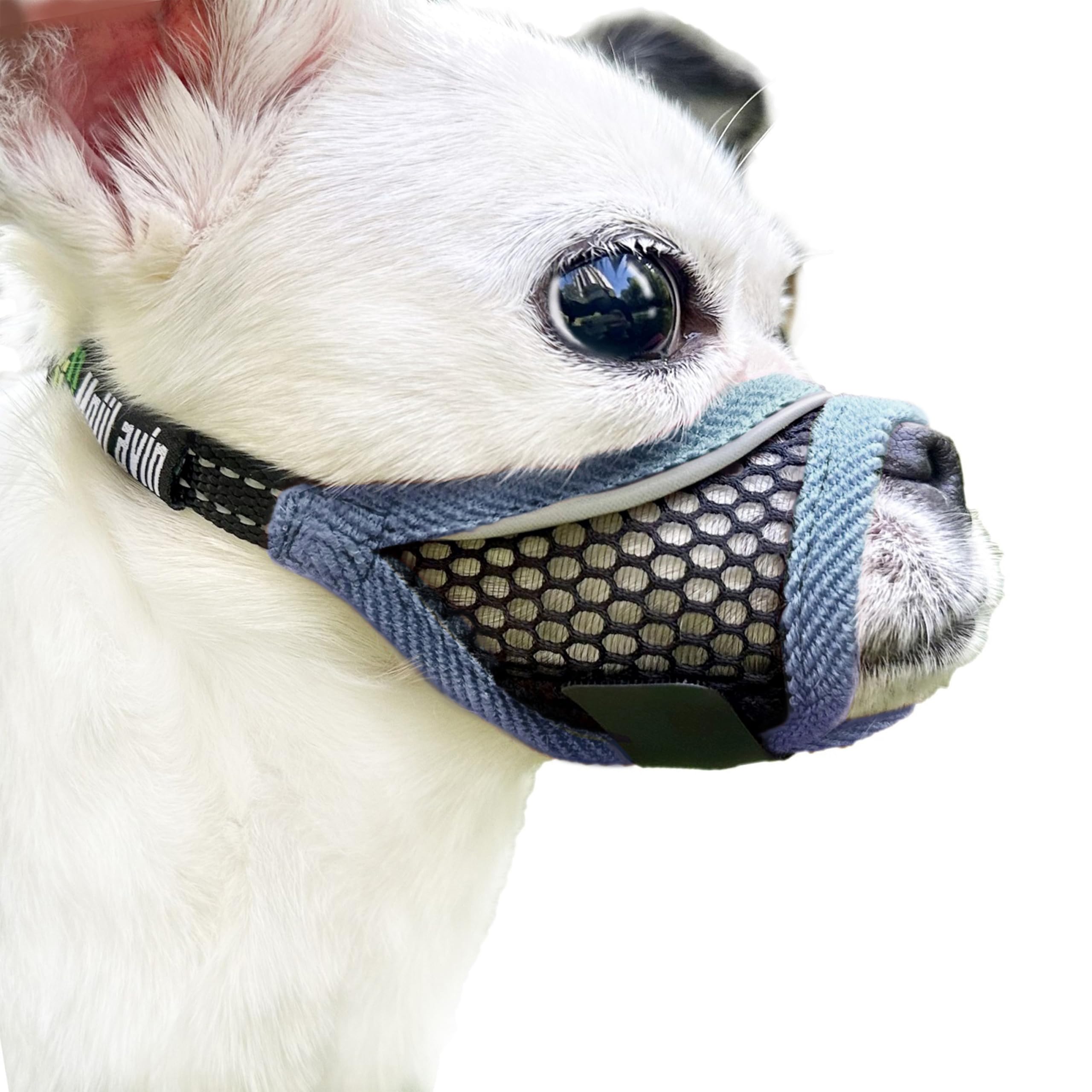 MoiiLavin Dog Muzzle for Small Medium Dogs Breathable Adjustable, Chihuahua Shih Tzu Puppy, Soft Air Mesh Muzzle for Grooming Ve