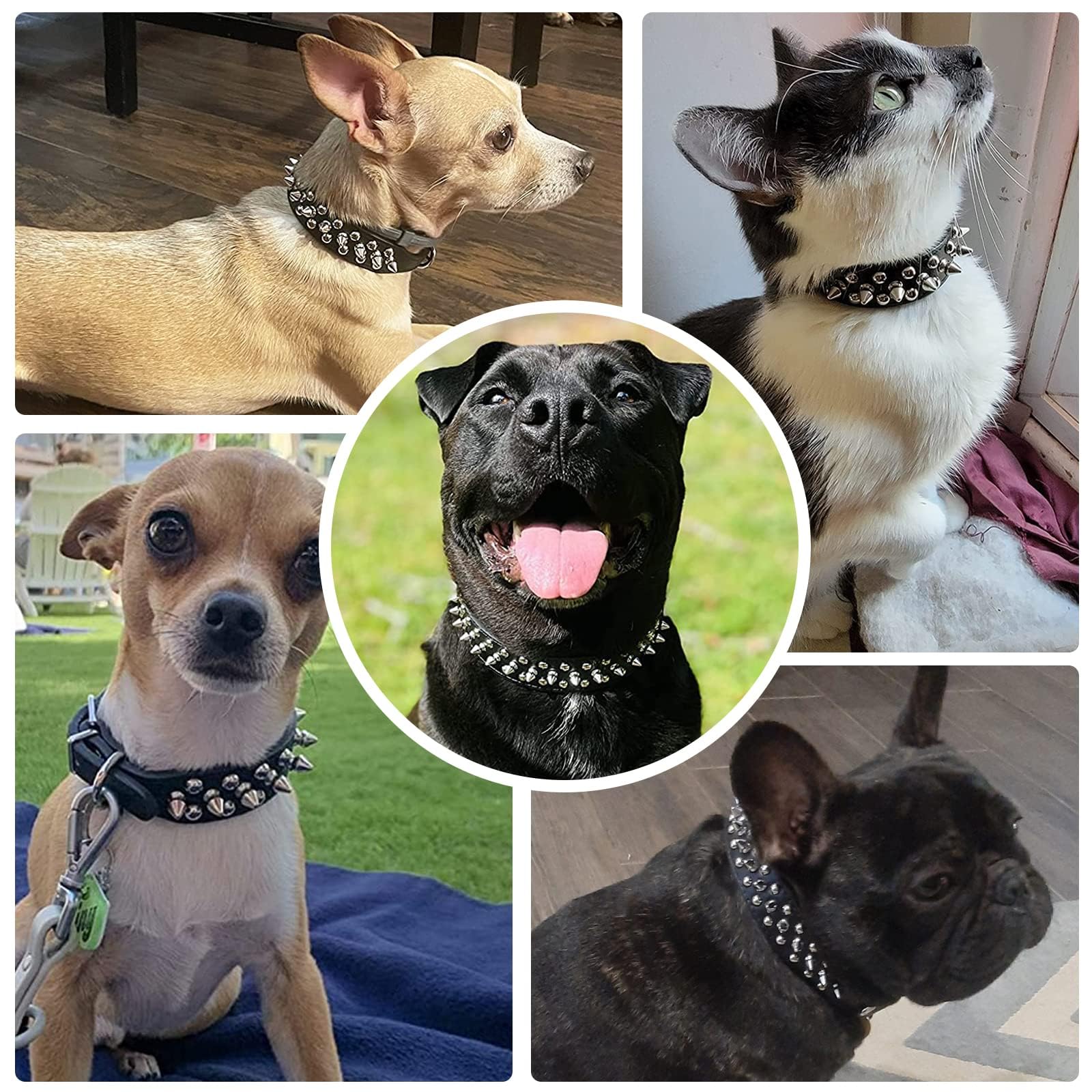 Doggyzstyle Spiked Dog Cat Collar Male Black Soft Leather Spike Puppy Collars Adjustable Mushroom Anti Bite Studded Dog Collars For Small Medium Large Dogs Chihuahua Yorkshire Pit Bull (Black,M)