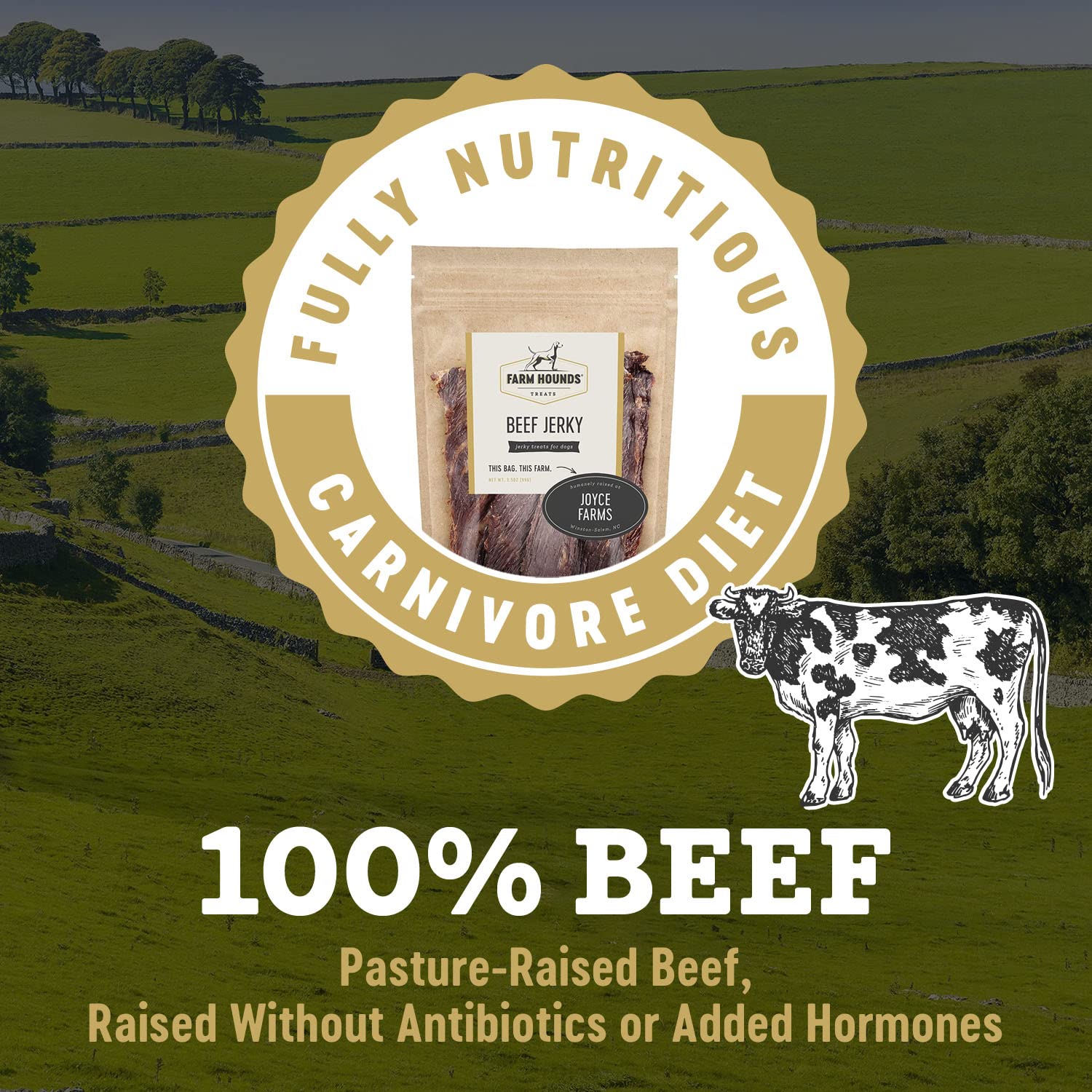 Farm Hounds - Beef Jerky - Premium Natural Jerky for Dogs - Made from 100% Humanely Raised Cattle - Break-to-Size - Great for Tr