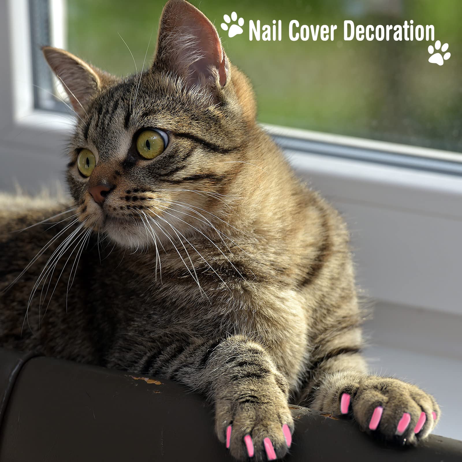 Kritkin 9 Pcs Cat Bathing Bag Set Cat Shower Bag Anti Bite And Scratch For Pet Grooming Washing Brush Comb Muzzle Nail Clipper N