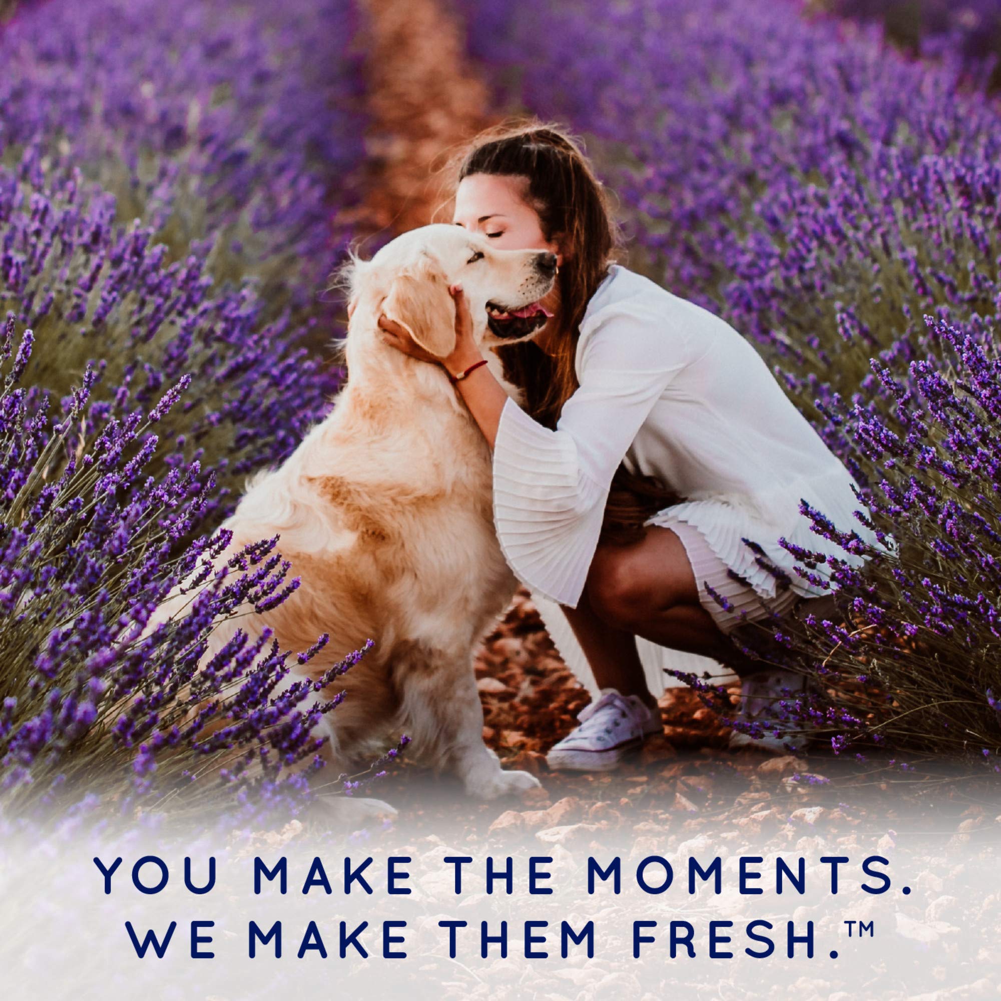 Tropiclean Spa Tear Stain Remover For Dogs | Blueberry Facial Shampoo | Odor Eliminator | Tearless | Whitening And Brightening | Made In Usa | 1 Gallon