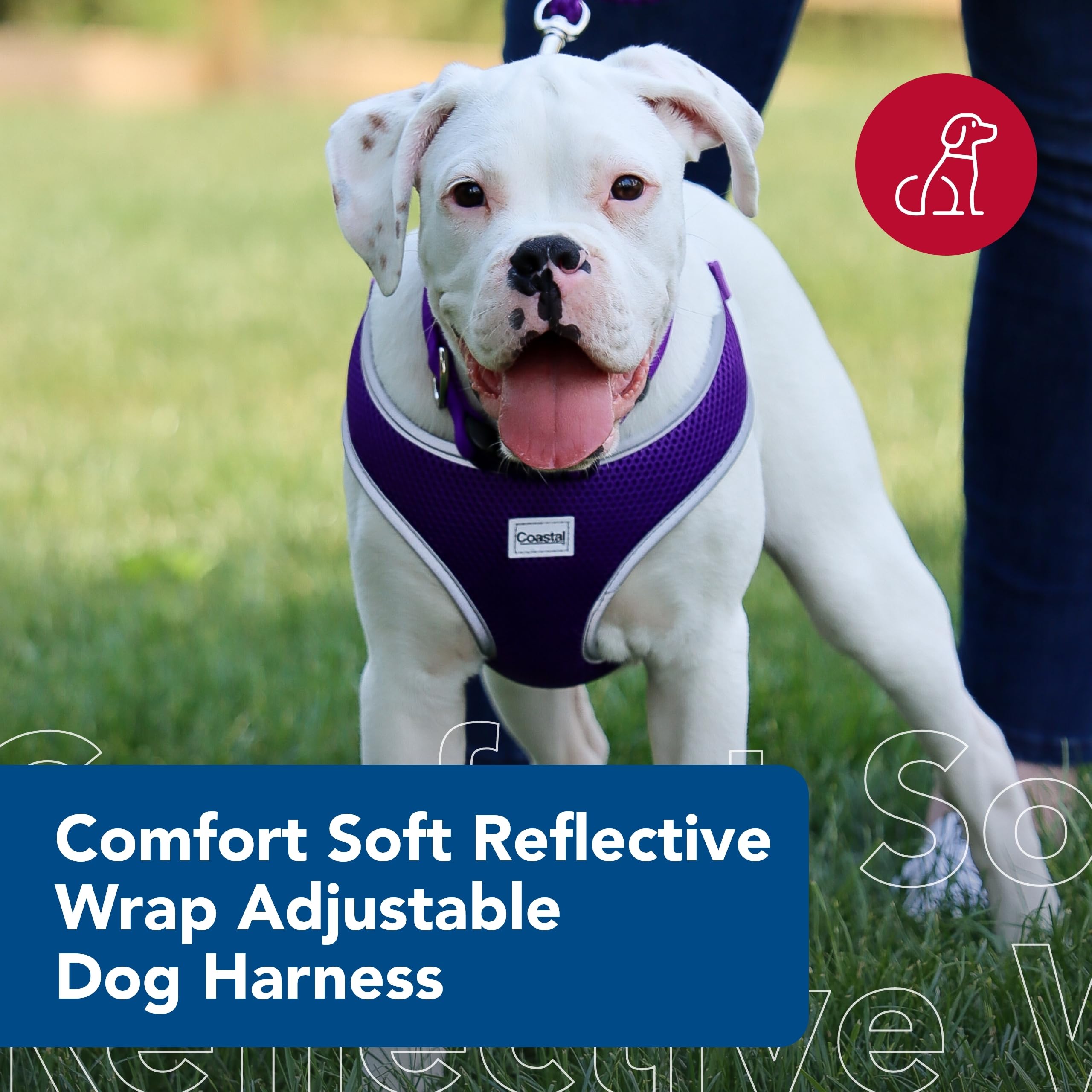 Coastal Pet Comfort Soft Reflective Wrap Adjustable Dog Harness - No-Pull Dog Harness For Small & Large Dogs - Purple - 3/4' X 20'–29'