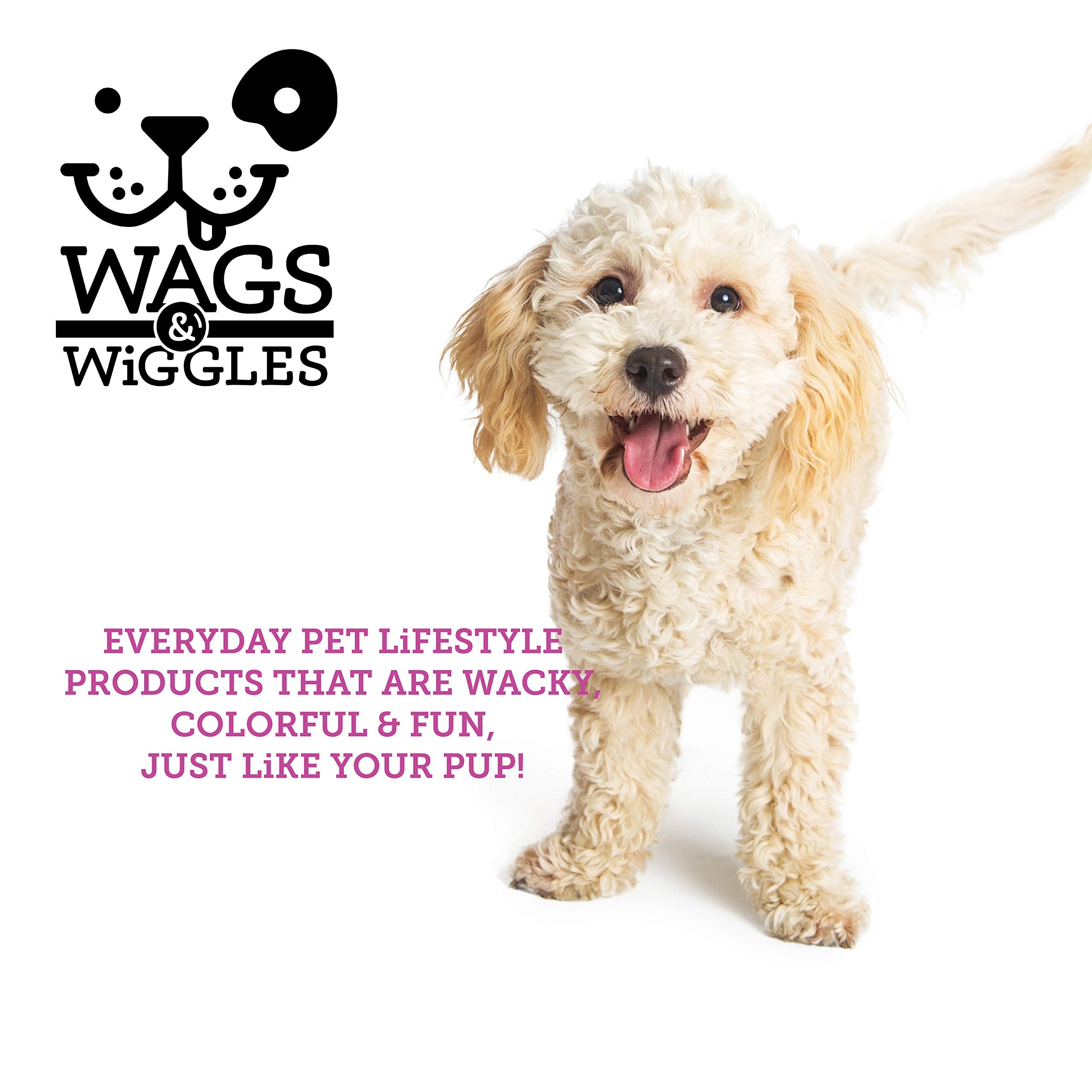 Wags & Wiggles Two-Sided Bristle And Squiggly Pin Brush For Small Dogs | Short Hair Dog Grooming Brush | Best 2-In-1 Grooming Supplies