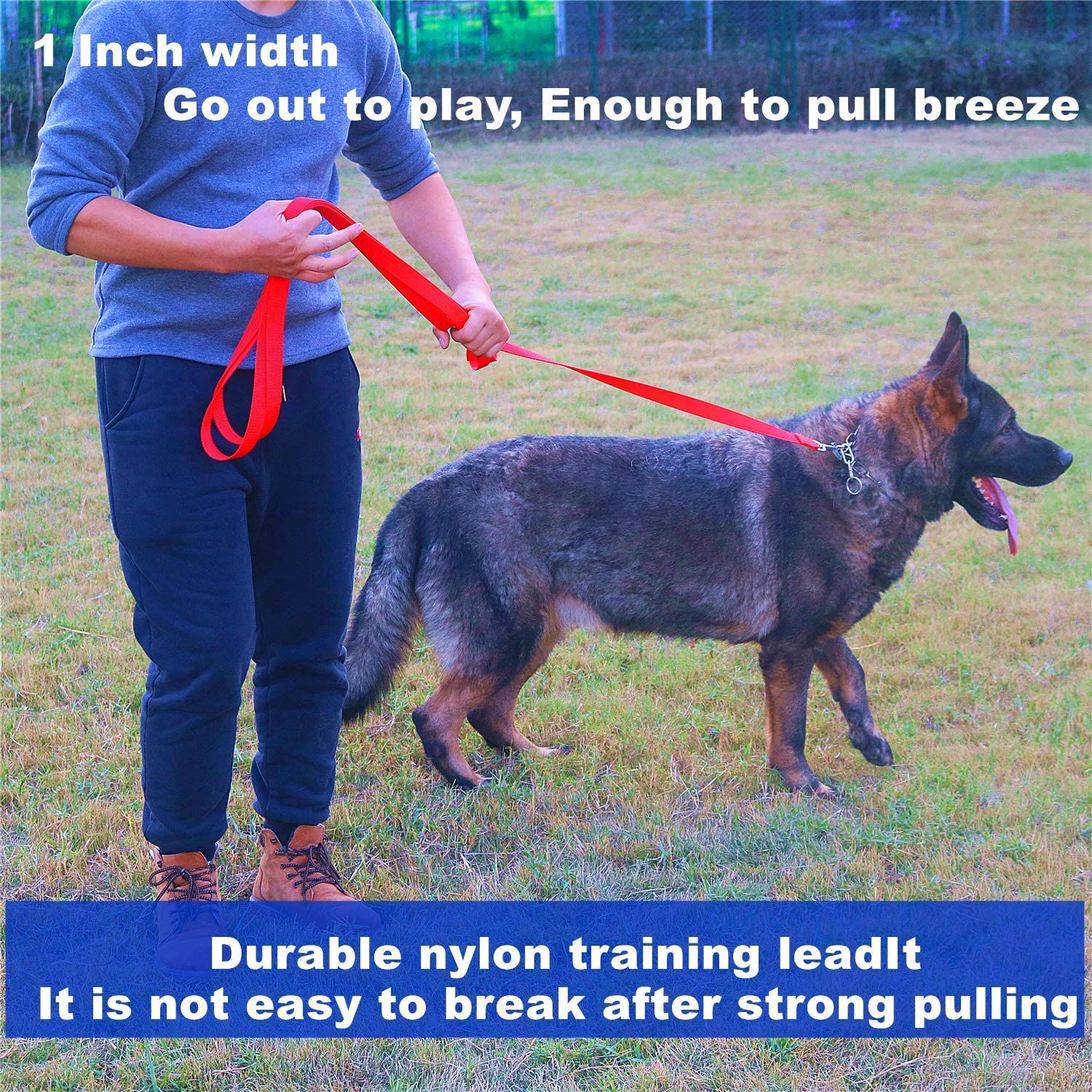 Siumouhoi Strong Durable Nylon Dog Training Leash, 1 Inch Wide Traction Rope, 6 Ft 10Ft 15Ft Long, For Small And Medium Dog (Black, 10 Feet)