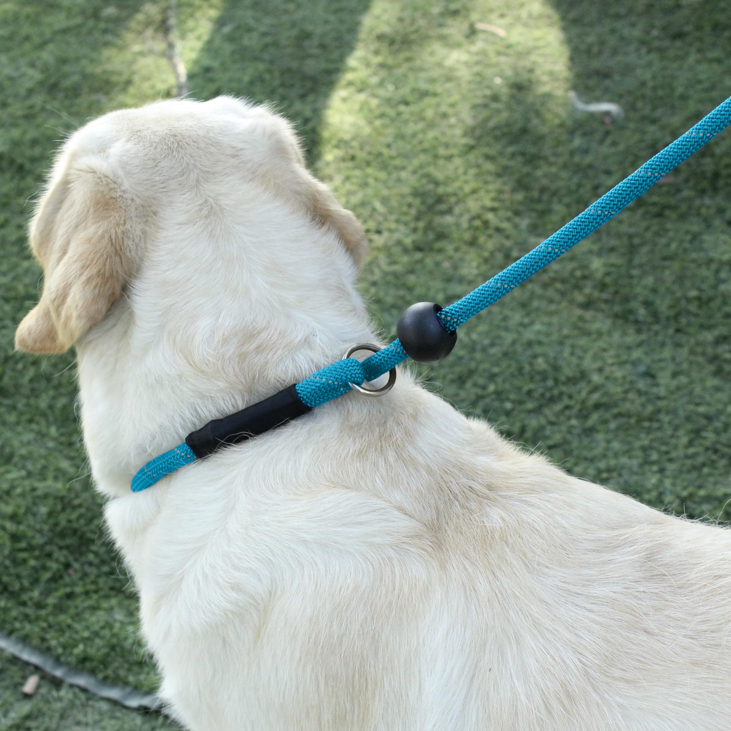 Hiado Slip Lead Dog Leash Reflective With Stopper Loop Rope Training No Pull For Small Medium Large Dogs 6Ft Skyblue
