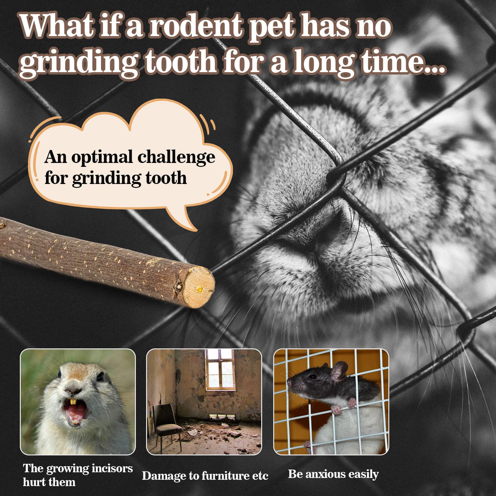 Sukh Natural Organic Apple Sticks - 250G Hamster Chew Toys Hams Rabbit Bunny Gerbil Guinea Pig Squirrel Chinchilla Animal Chew T