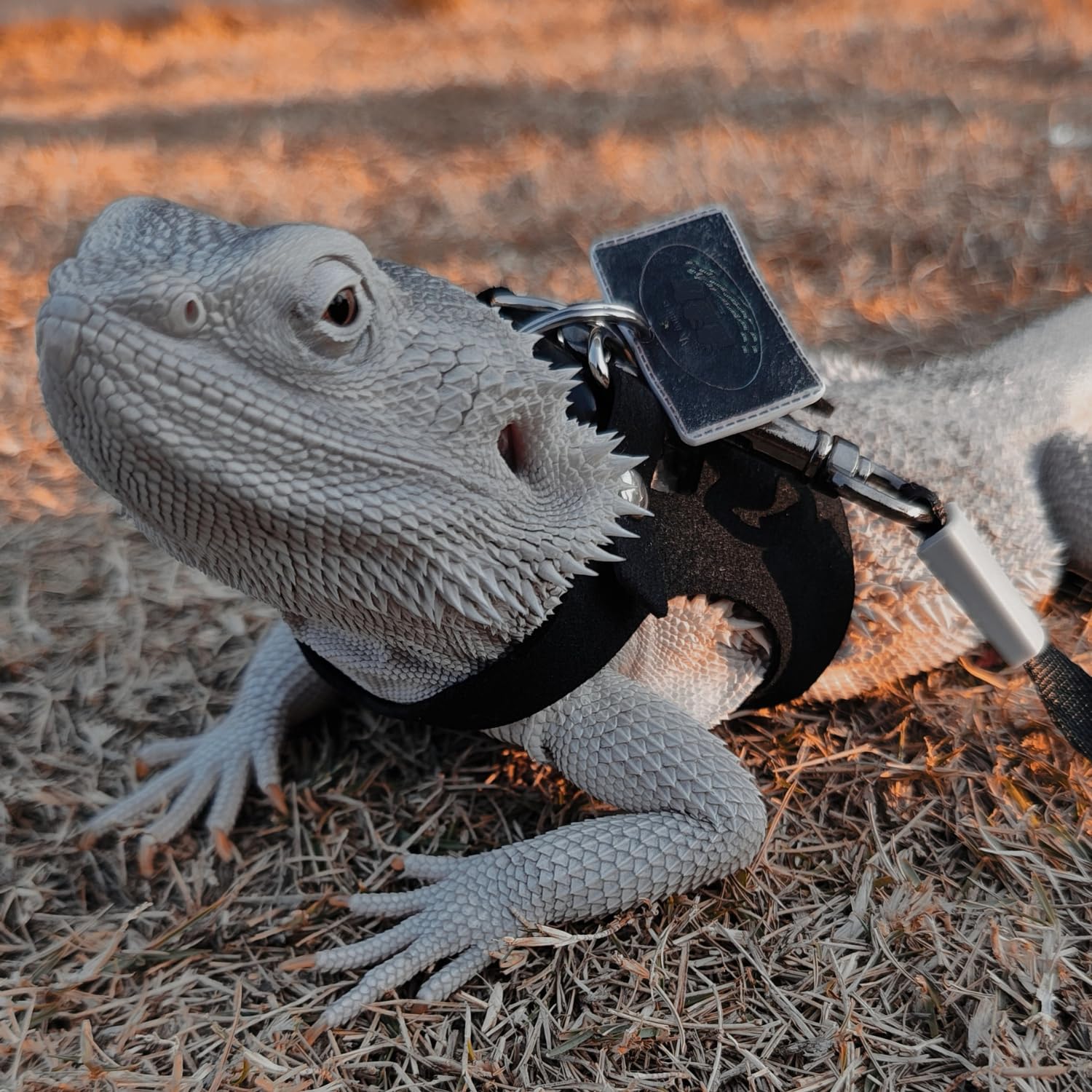 3 Pack Bearded Dragon Harness And Leash Set - Adjustable Soft Leather Lizard Harness With Retractable Leash Small Animal Tractio