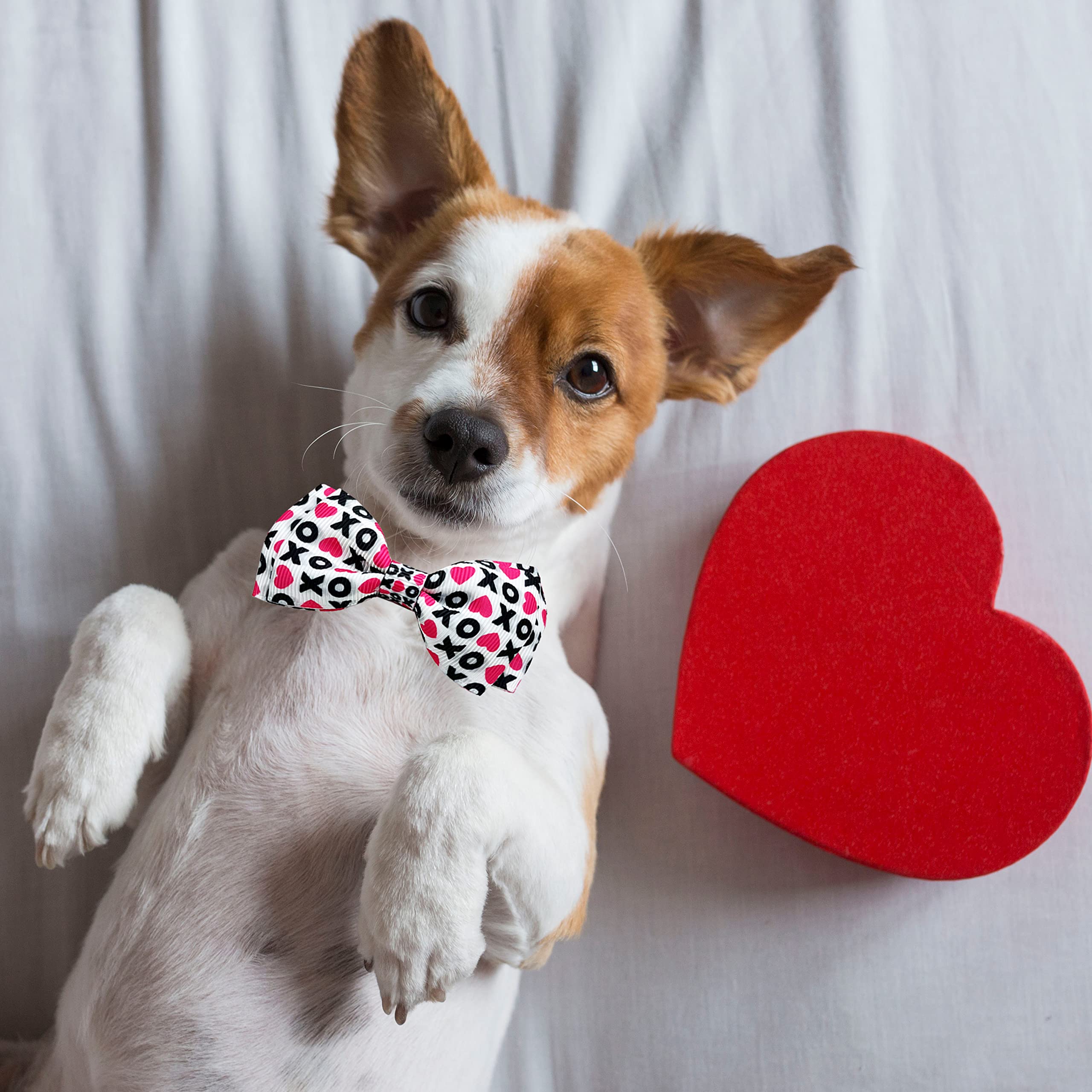 Pohshido 2 Pack Valentine Kitty Kitten Collar With Bow Tie, Holiday Heart Collar With Bell For Boys And Girls Male Female Cats (Pattern 1)