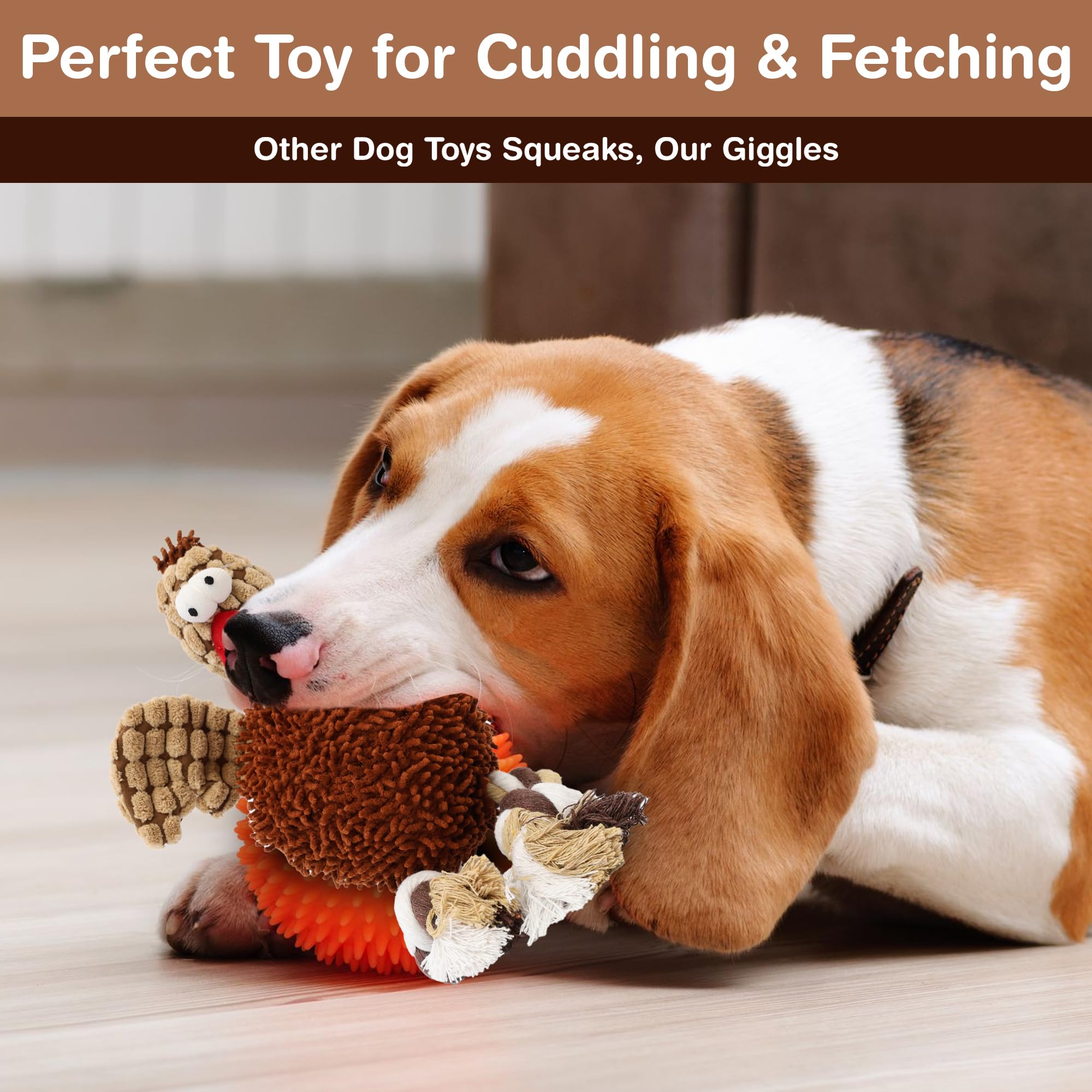 Ethical Pets Gigglers Chicken Dog Toy, 12-Inch, Assorted