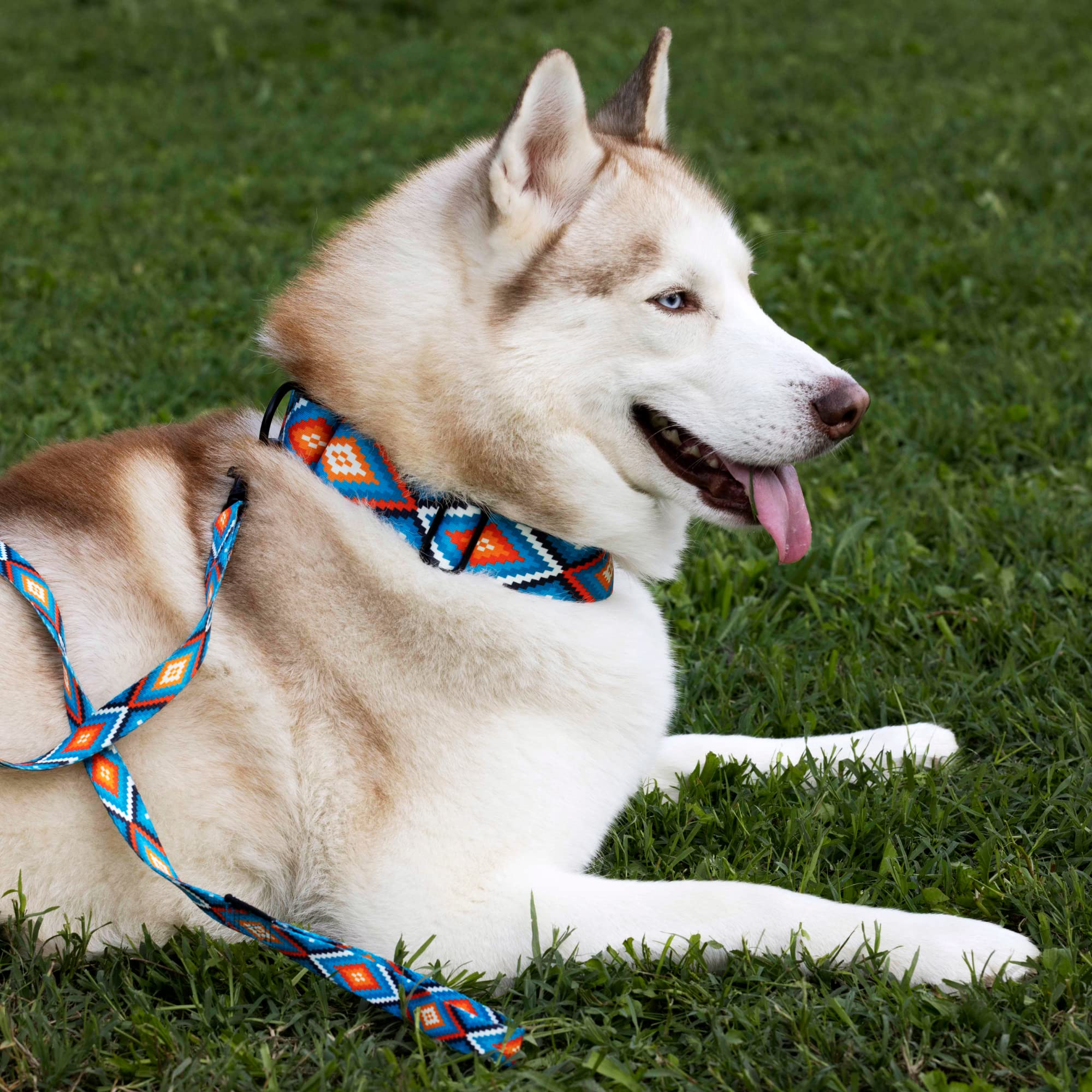 Collardirect Martingale Dog Collar Nylon Safety Training Tribal Pattern Adjustable Heavy Duty Collars For Dogs Medium Large (Pattern 3, Large, Neck Size 15'-20')