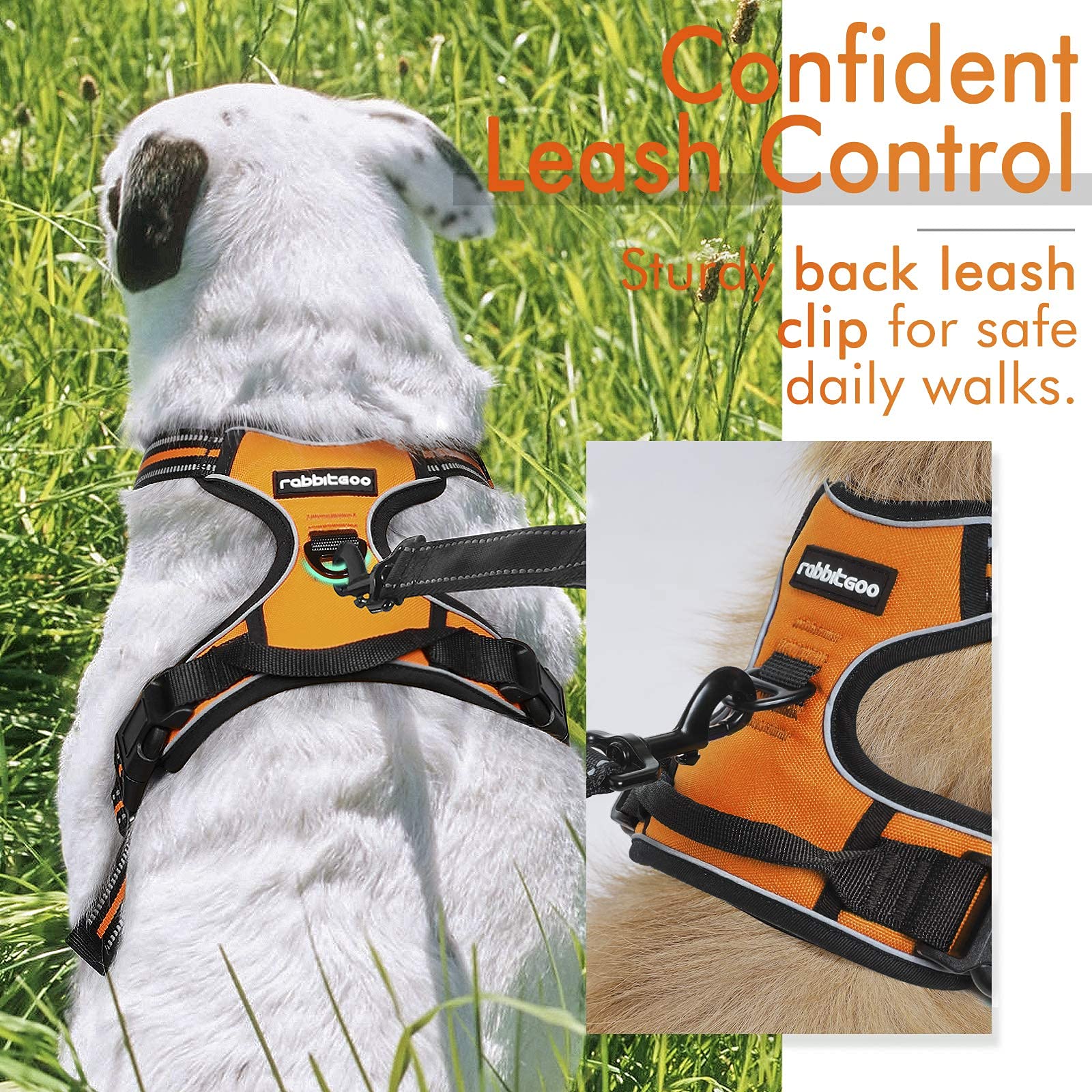 Rabbitgoo Dog Harness No Pull With 2 Leash Clips, Adjustable Soft Padded, Reflective Oxford No Choke Pet Vest With Easy Control Handle For Large Dogs, Orange, Xl