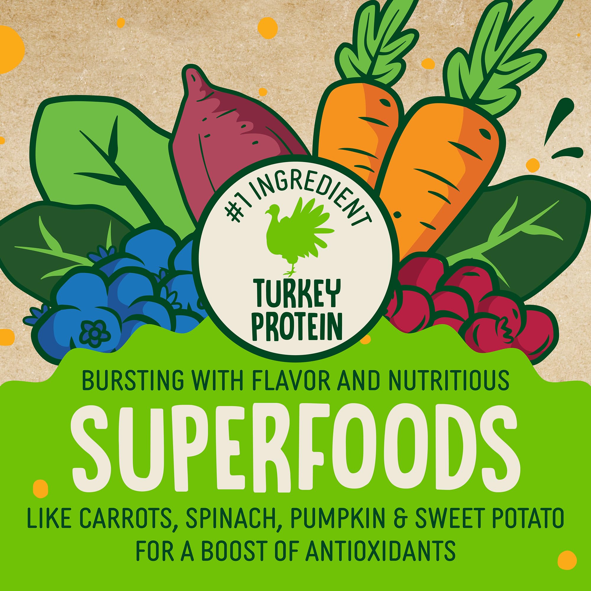 earthborn EarthBites Crunchy Grain Free Treats for Dogs (Turkey)