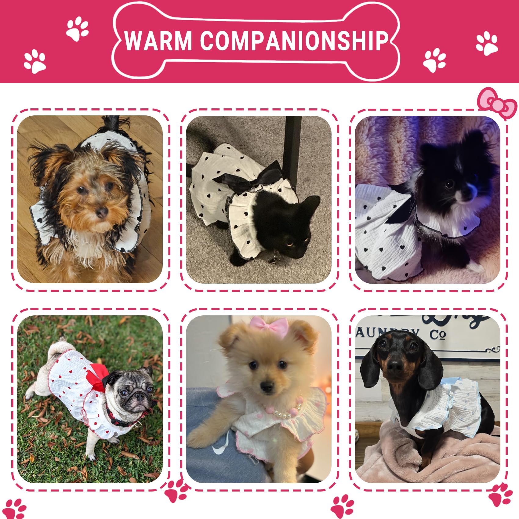 Tapbull Dog Dresses, Fashionable Pet Dog Clothes With Heart Design, Cute Cat Birthday Dress Outfit (Pink/Red/Blue/Purple/Black 5