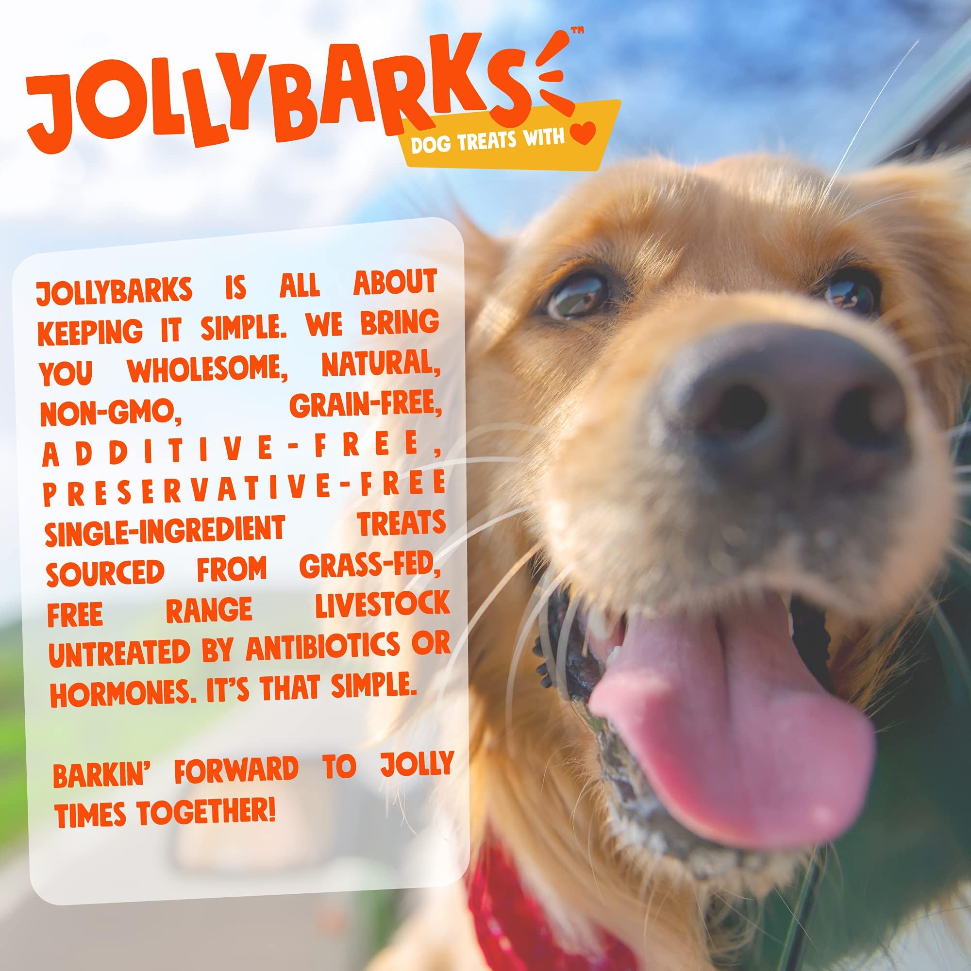 Jolly Barks Cow Ears for Dogs - High Protein, Single Ingredient Treats, 12 Count, White Cow Ears