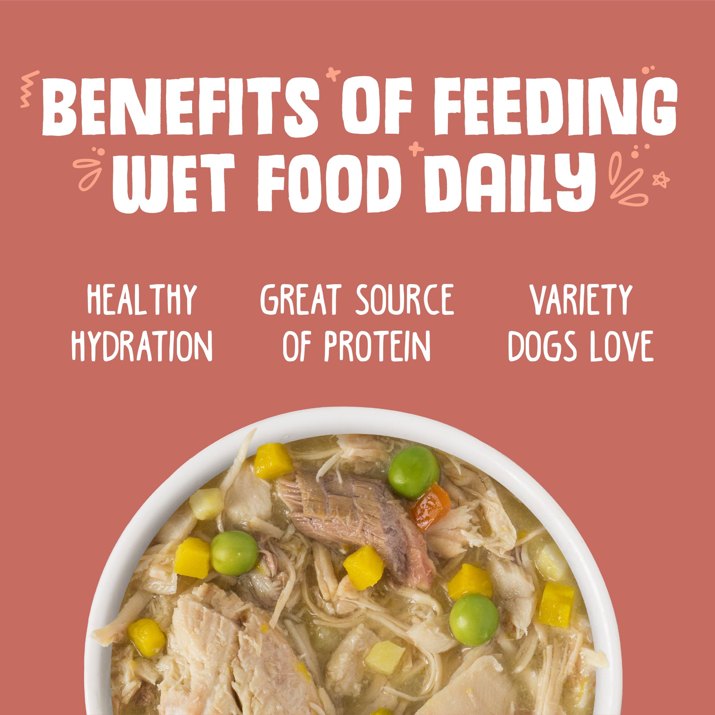 Weruva Classic Dog Food, Jammin Salmon with Chicken & Salmon in Gravy, 14oz Can (Pack of 12), Red (Jammin Salmon)