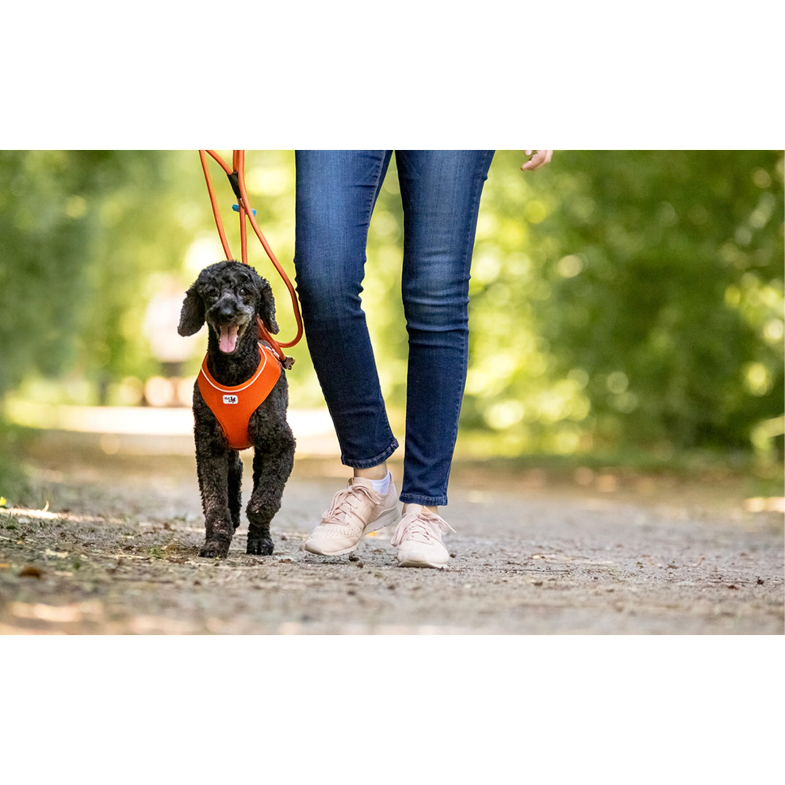 Curli Basic Harness Air-Mesh Dog Harness Pet Vest Adjustable Step-In Light Harness Black L