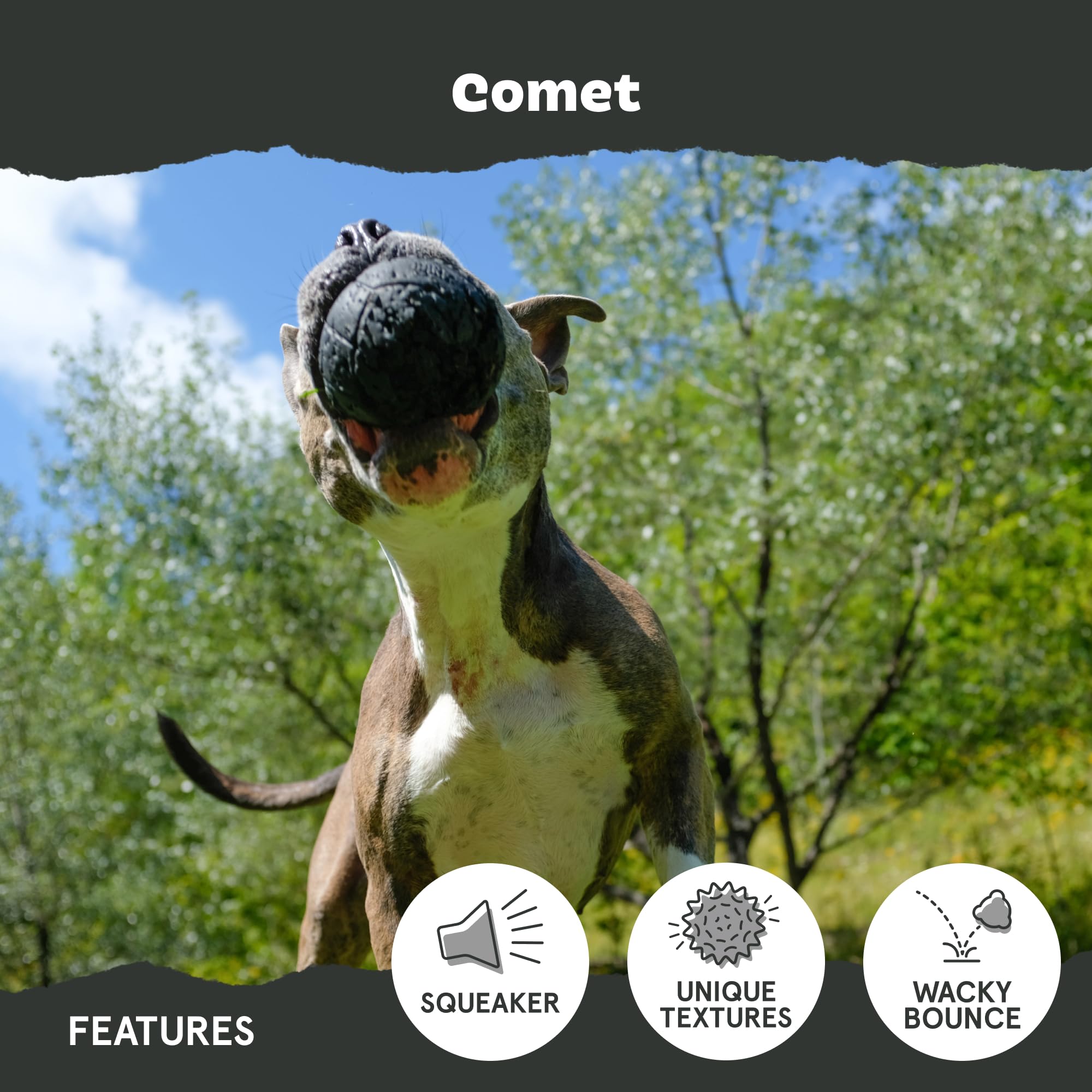 Barkbox Super Chewer Tough Dog Chew Toys For Aggressive Chewers, Treat Dispensing (Comet-Large)