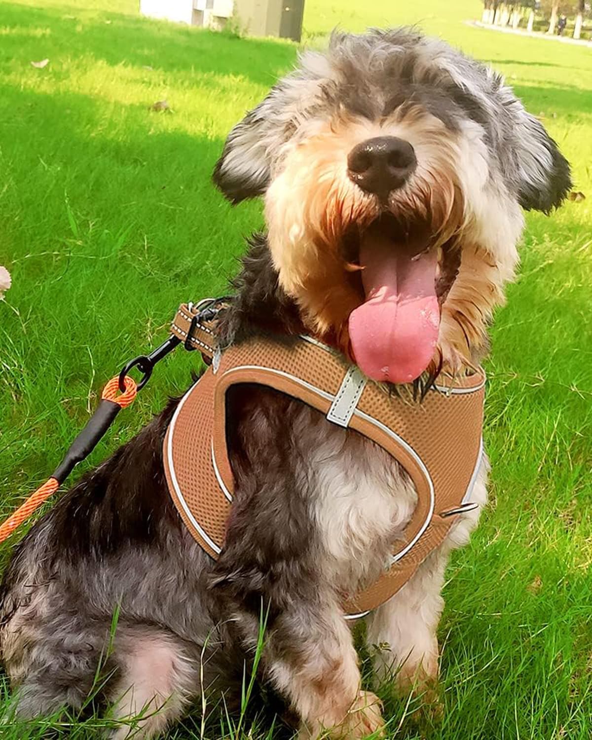 Joytale Step In Dog Harness,12 Colors,Breathable Mesh Vest Harness,Reflective Soft Padded Harnesses For Small And Medium Dogs,Brown,L