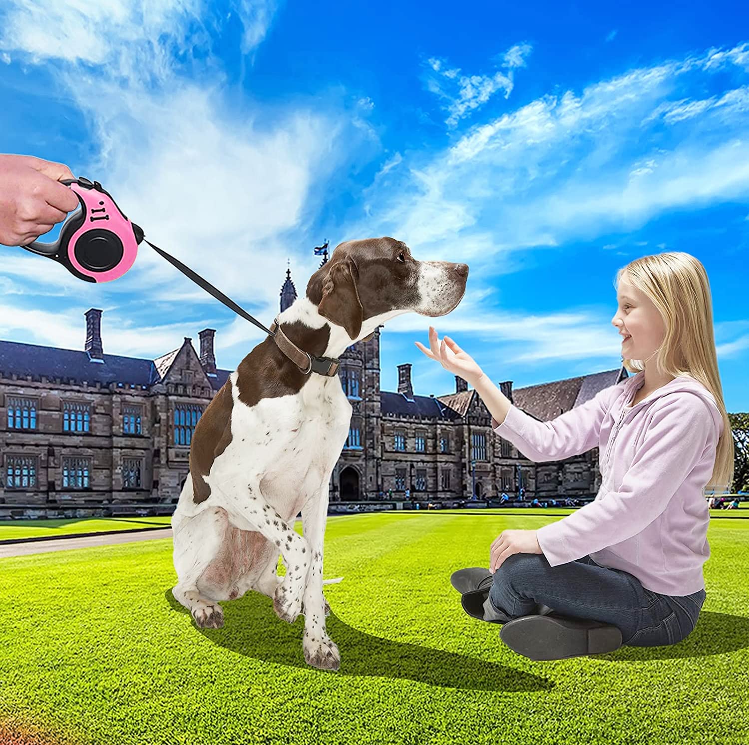 Retractable Dog Leash,Heavy Duty Dog Leash Retractable,Dog Walking Leash For Small Dog Or Cat Up To 26 Lbs,360° Tangle-Free Strong Nylon Tape,Anti-Slip Handle,With Waste Bag Dispenser(16Ft Pink)