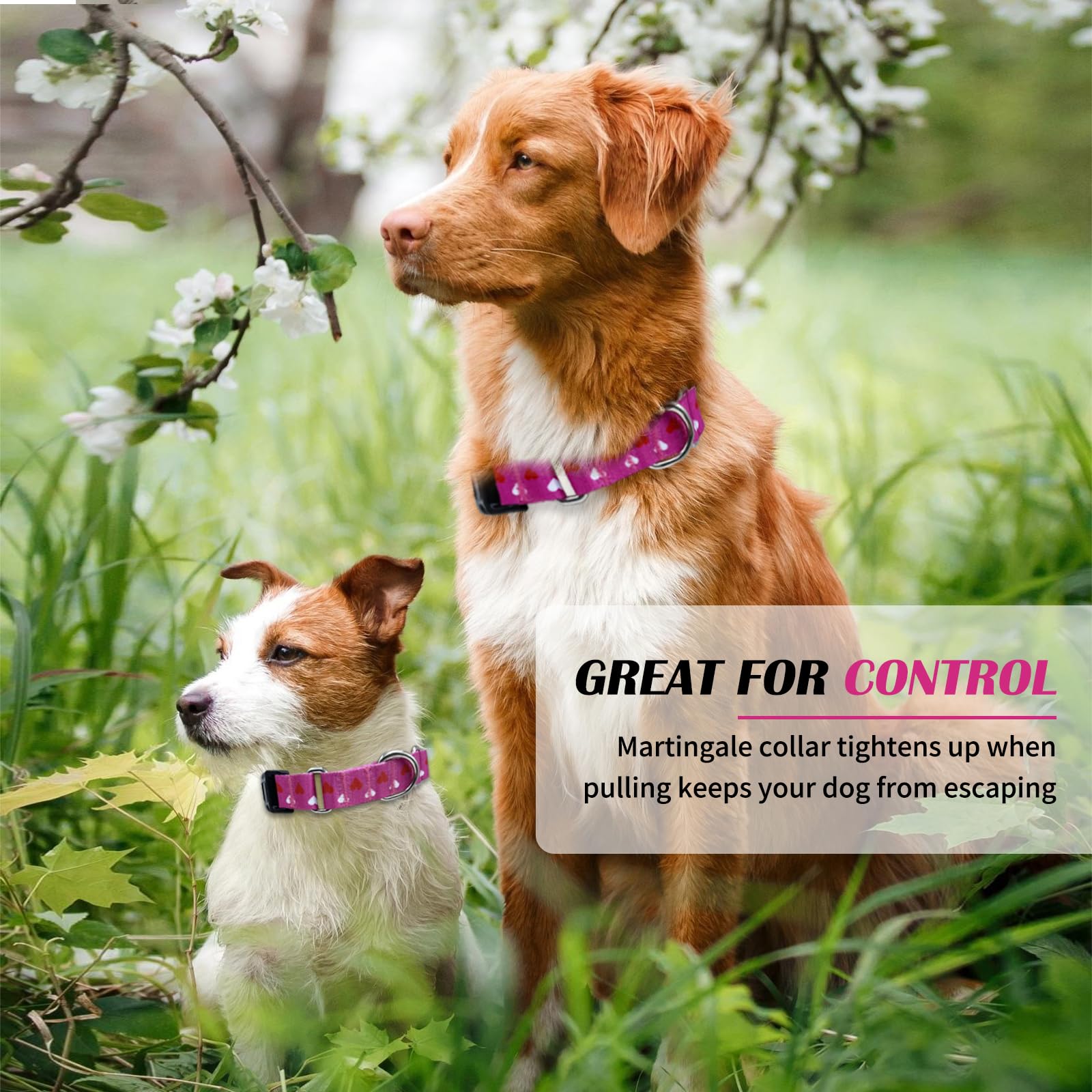 Hikiko Valentine'S Day Dog Collar For Xsmall Puppy Dogs With Adjustable Heart Martingale Collars Quick Release Buckle (Pink Love