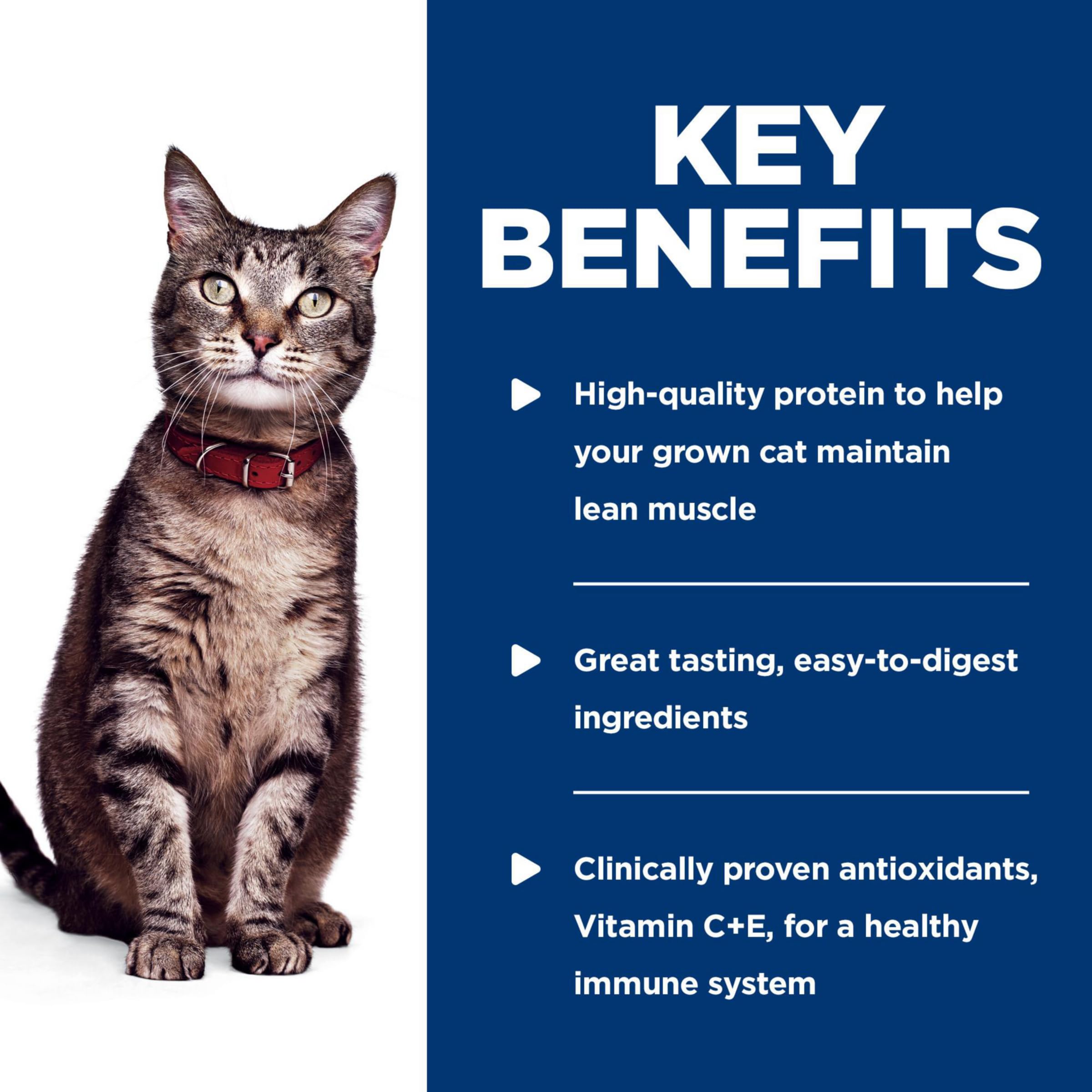 Hill s Science Diet Adult 1-6, Adult 1-6 Premium Nutrition, Wet Cat Food, Ocean Fish Stew, 2.8 oz Pouch, Case of 24