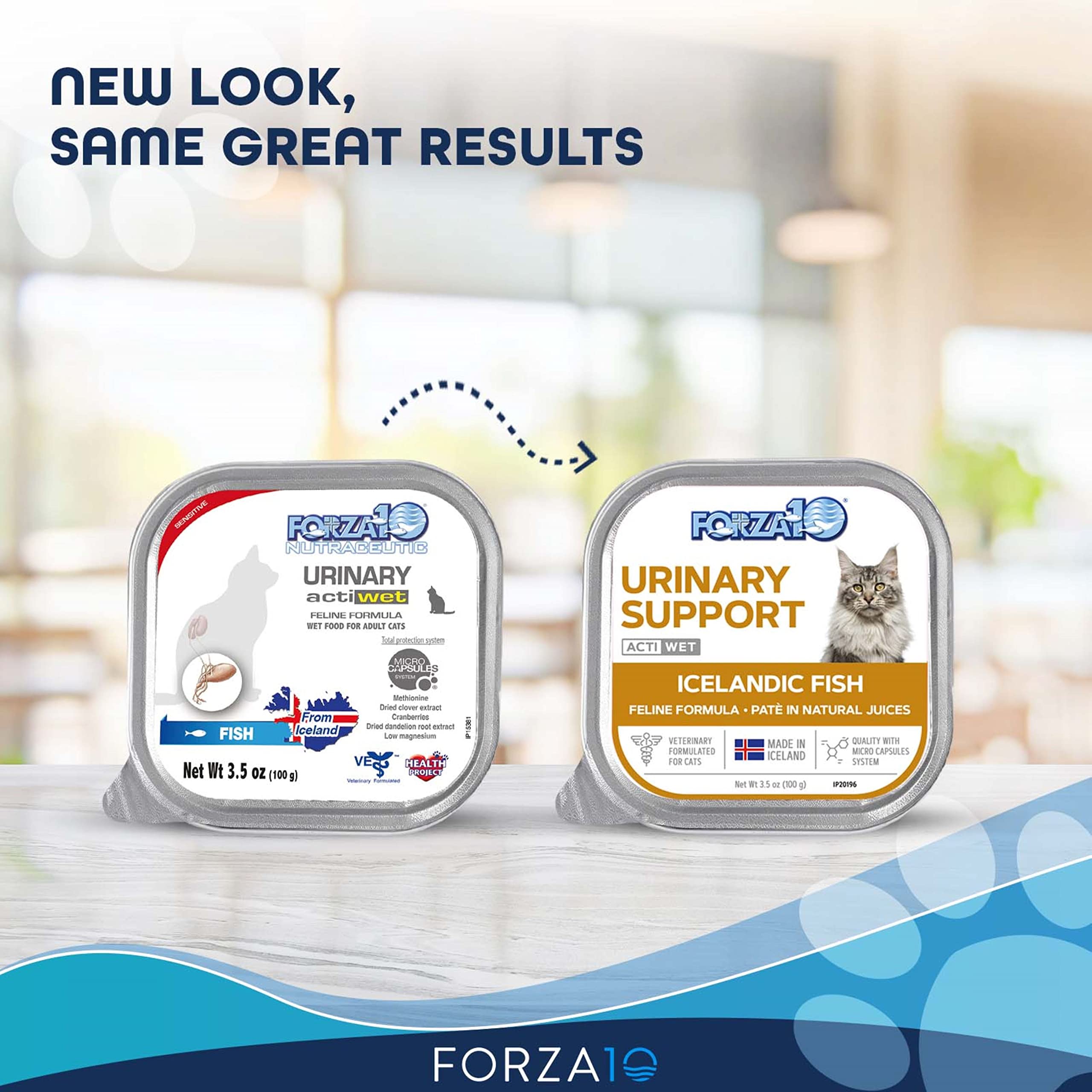 Forza10 Actiwet Urinary Cat Food, Canned Salmon Fish Flavor Urinary Tract Health Cat Food Wet, Vet Approved for Urinary Health,