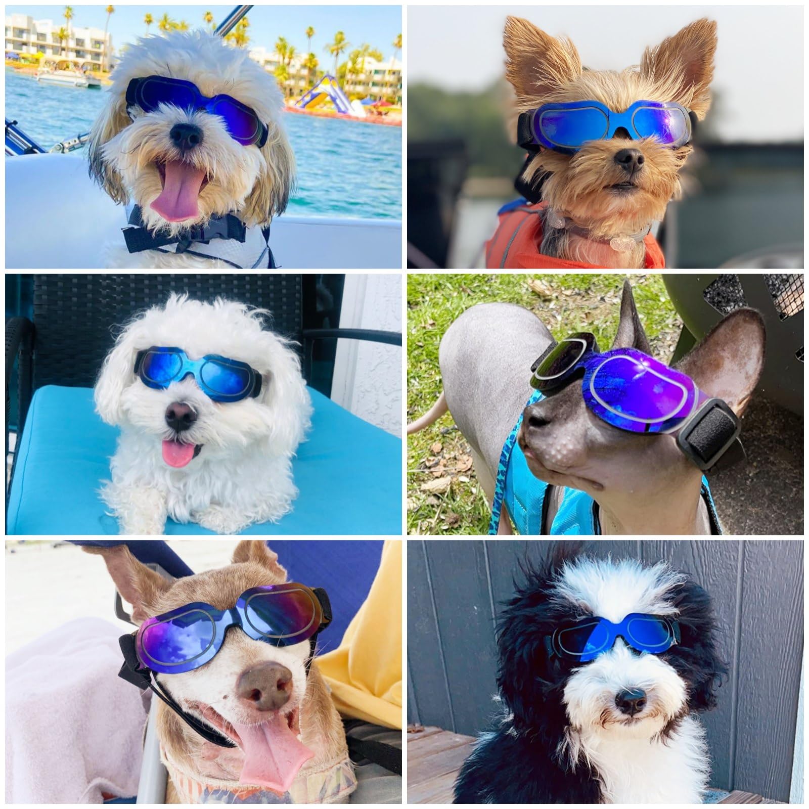 Enjoying Dog Goggles Small Breed, Puppy Sunglasses Uv Protection, Summer Dog Eye Protection For Small Dogs Outdoor Driving Riding, Winter Antifog Dog Snow Goggles, Cool Blue