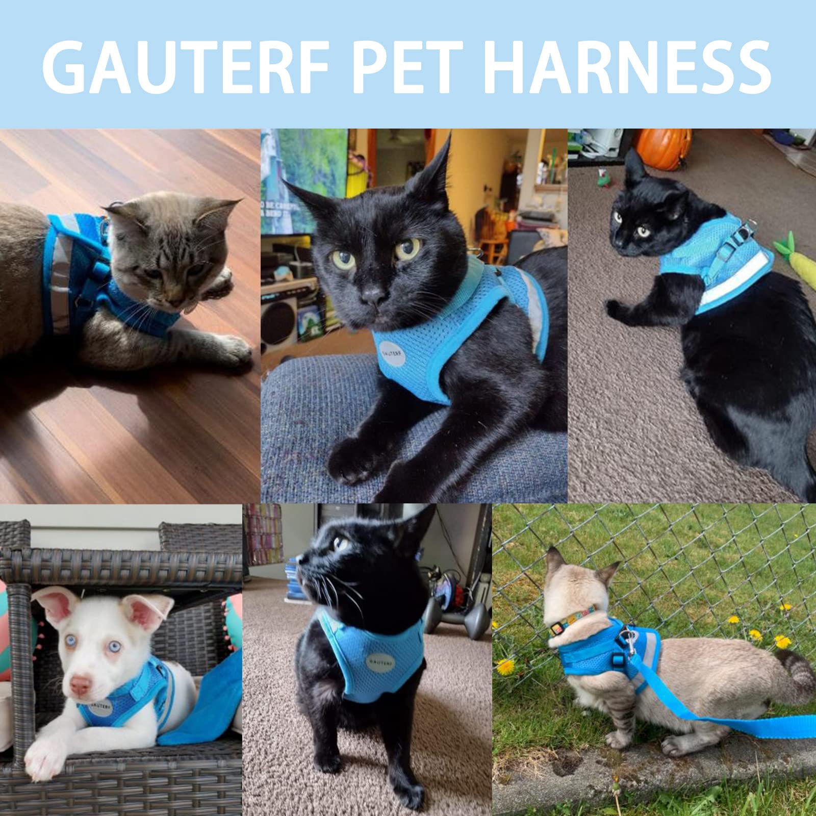 Cat Harnesses And Puppy Harness With Leashes Set, Escape Proof Cat Harness, Adjustable Reflective Soft Mesh Vest Fit Puppy Kitten Rabbit Ferrets'S Outdoor Harness