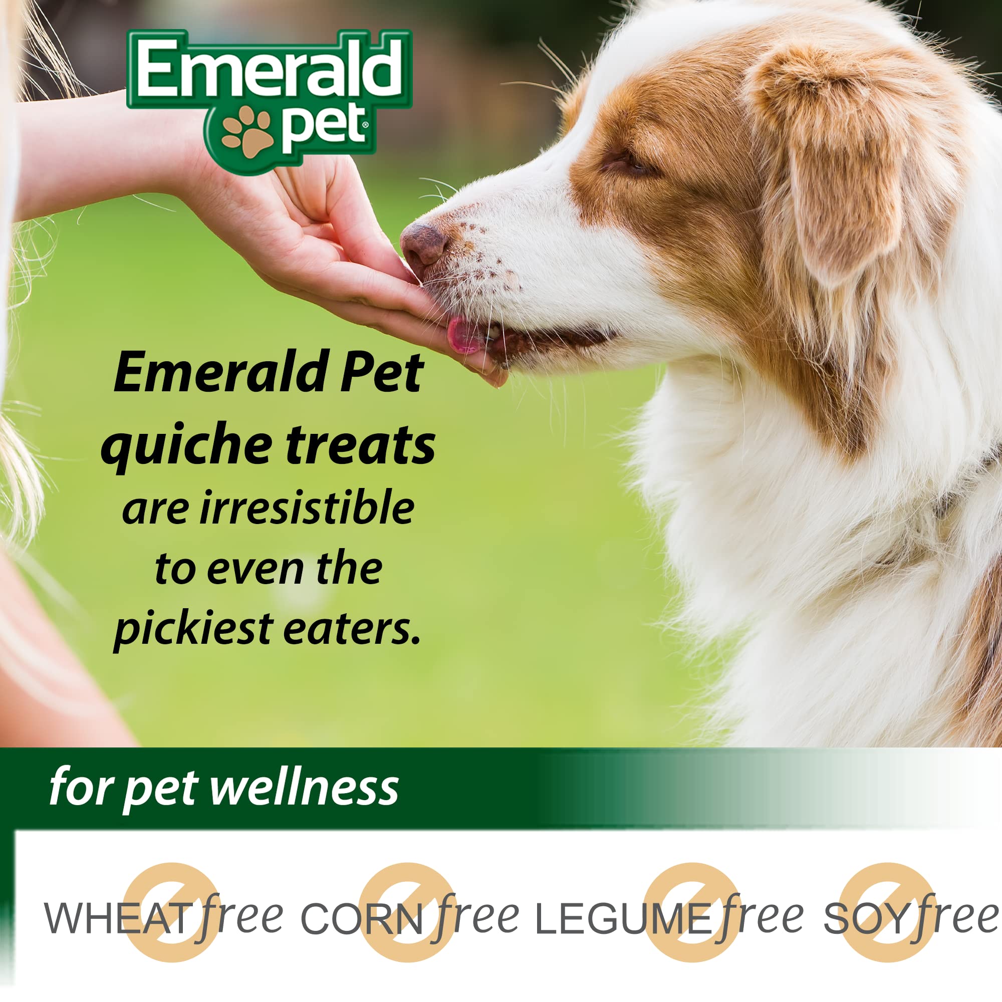 Emerald Pet Quiche Royal Ham and Cheese Treat for Dogs