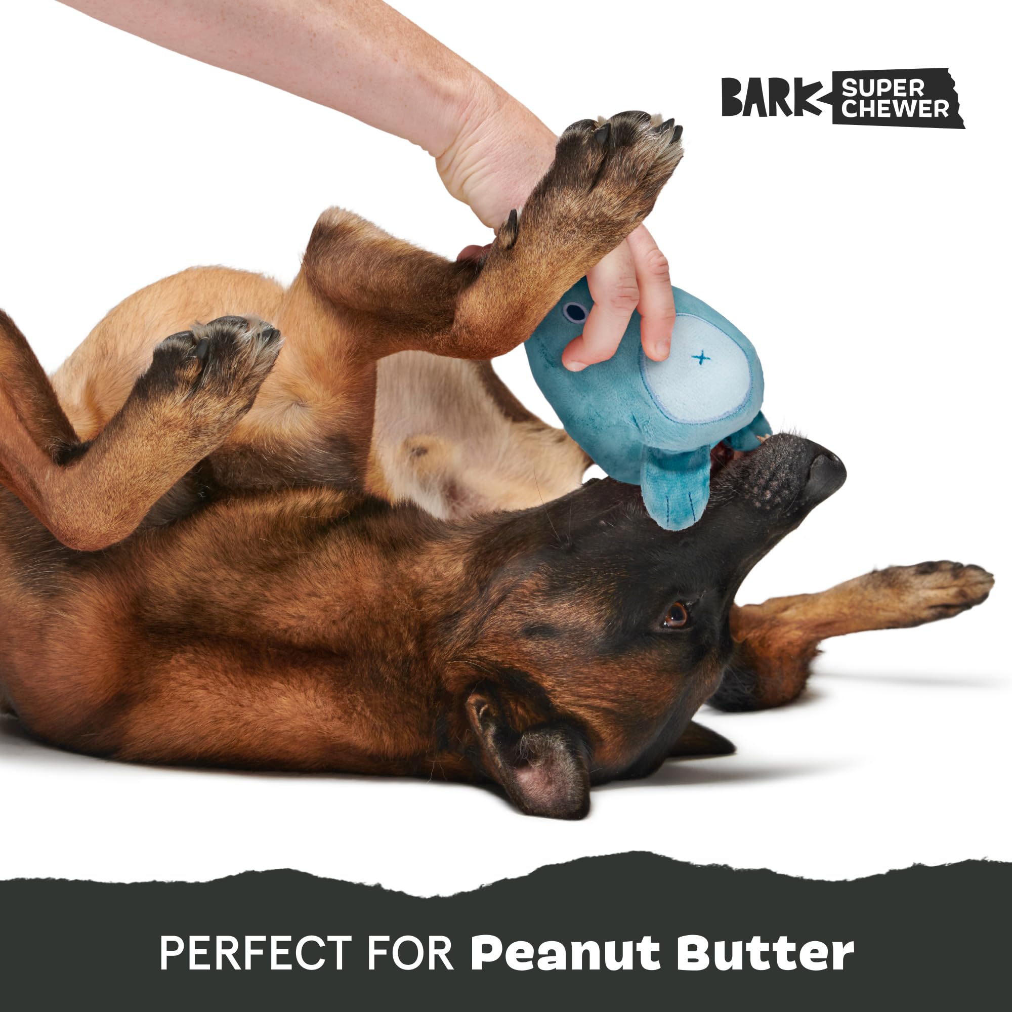 Barkbox Grey Bear Hugger Super Chewer 2-In-1 Plush Exterior Hard Core Plush Toy, Large Breeds