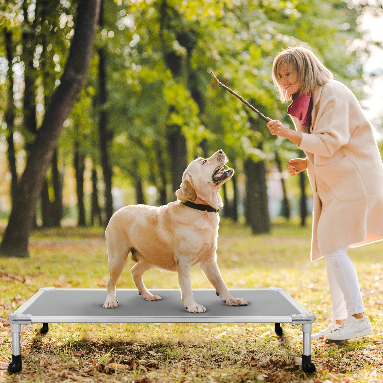 Veehoo Chew Proof Elevated Dog Bed - Cooling Raised Pet Cot - Silver Aluminum Frame And Durable Textilene Mesh Fabric, Unique Designed No-Slip Feet For Indoor Or Outdoor Use, Gray, Large