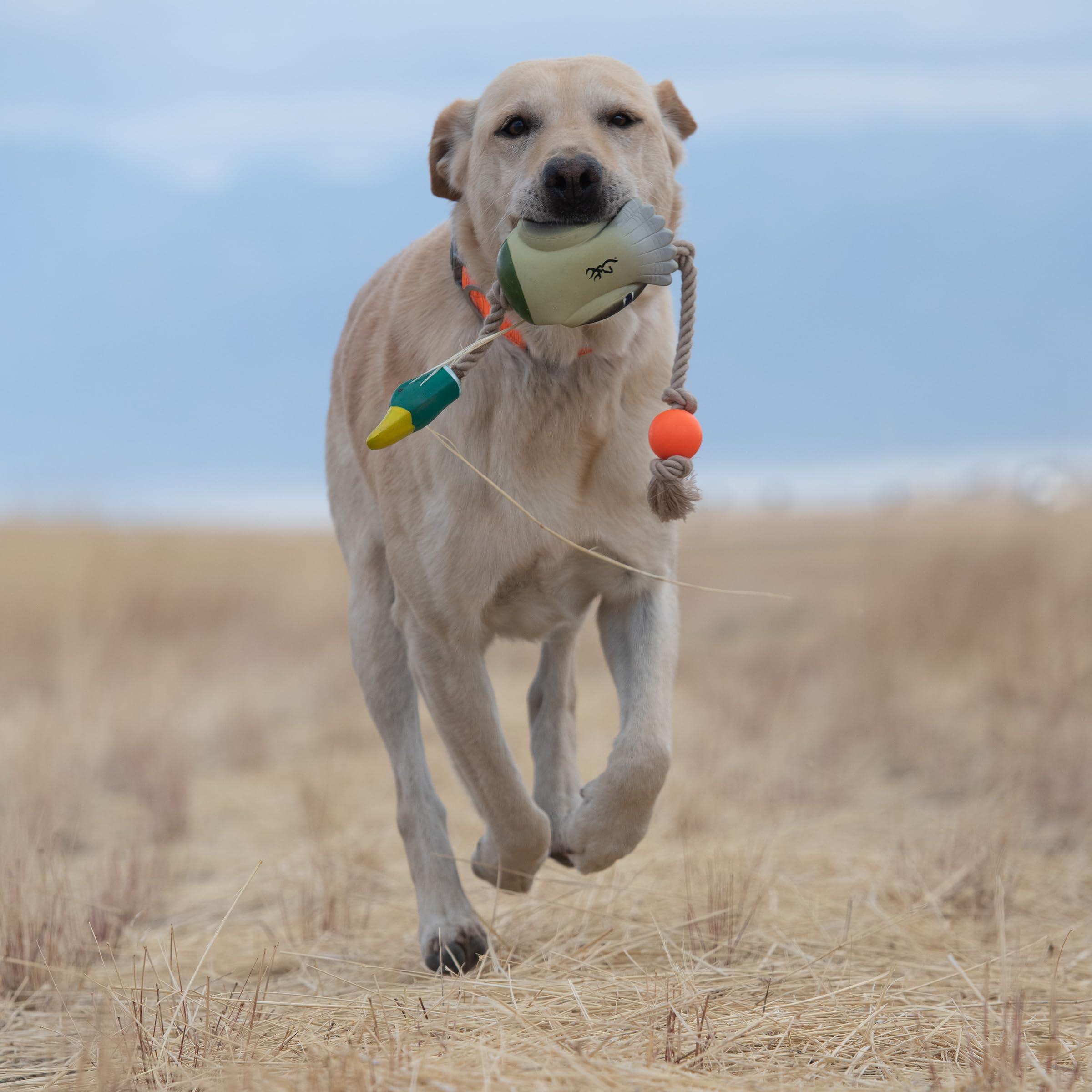 Browning Pet Toys, Durable Dog Toys for Tug and Fetch, Rubber Duck Rope Toy