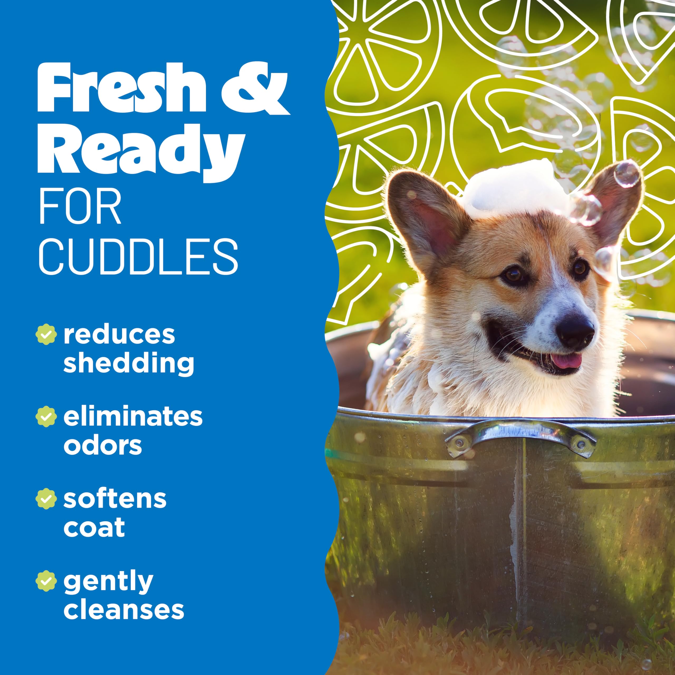 TropiClean Deshedding Dog Shampoo, Professional Dog Shampoo, Fast-Acting Shedding Control, Puppy Safe, Made in USA, Lime & Cocon