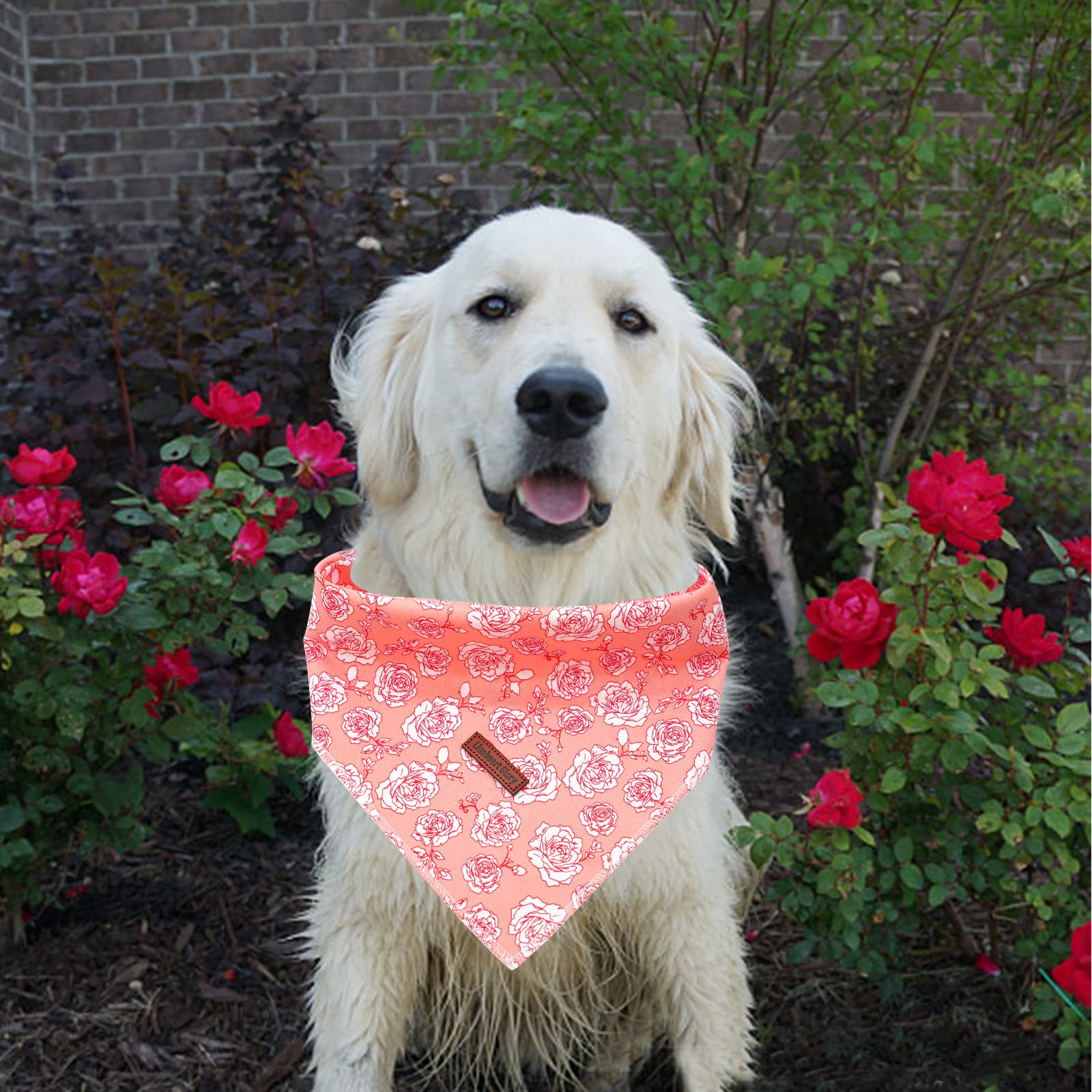 Lionheart Glory Rose Print Dog Bandana 1 Pack Washable Soft Scarf, Square Adjustable Bandana For Small Dogs And Cats