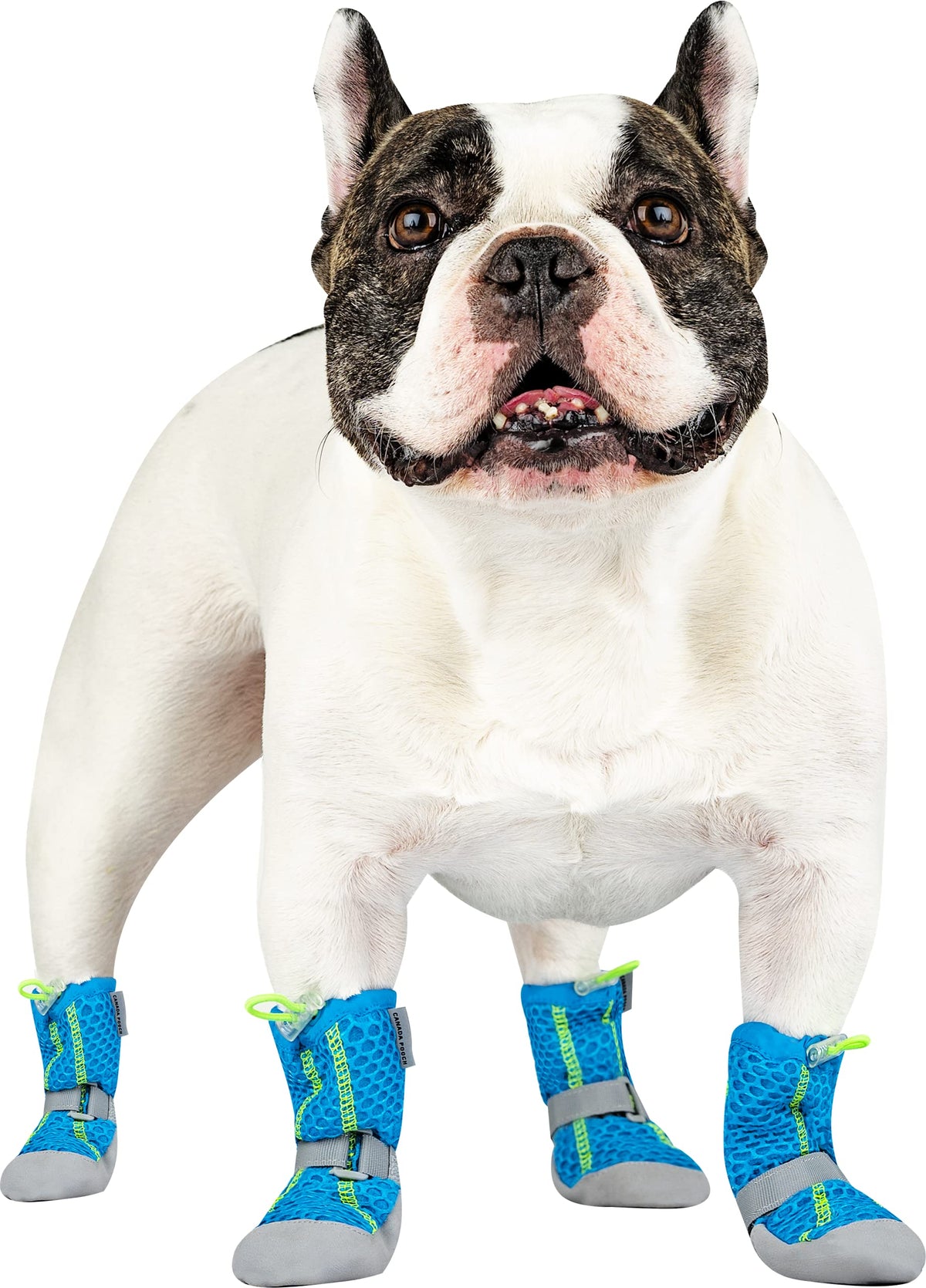 Canada Pooch Dog Boots For Hot Pavement - Dog Boots & Paw Protectors With Anti Slip Rubber | Water Friendly, Breathable Dog Shoes For Hot Days, Great For Dogs Blue - Size 6