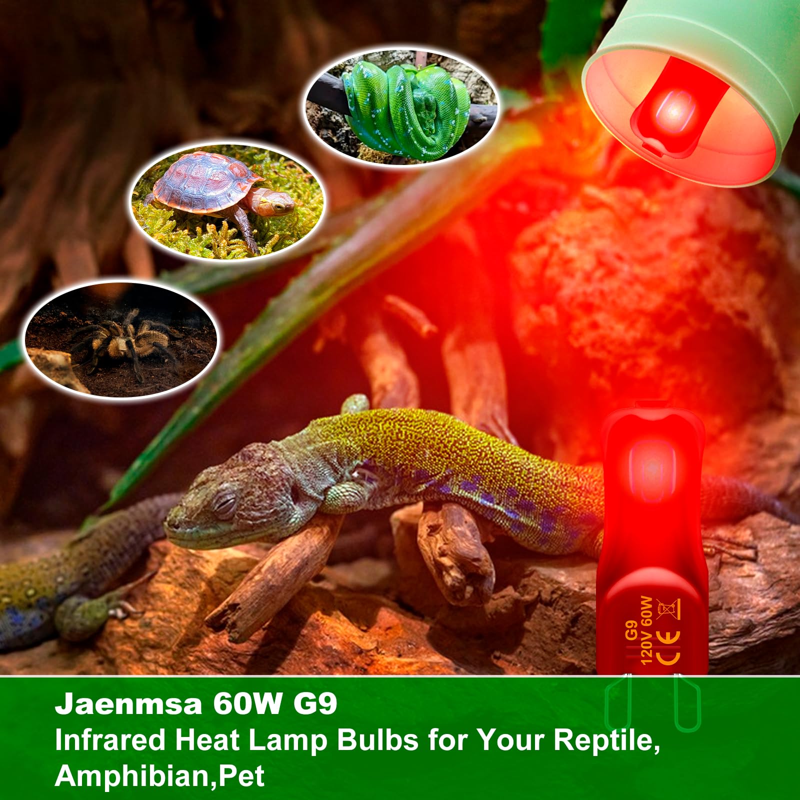 Jaenmsa G9 Heat Lamp Bulbs For Reptile, 25W Lizard Tank & Bearded Dragon Accessories,Infrared Basking G9 Halogen Light Bulbs 2 Pin For Reptiles And Amphibian Use,Night Red,2 Pack