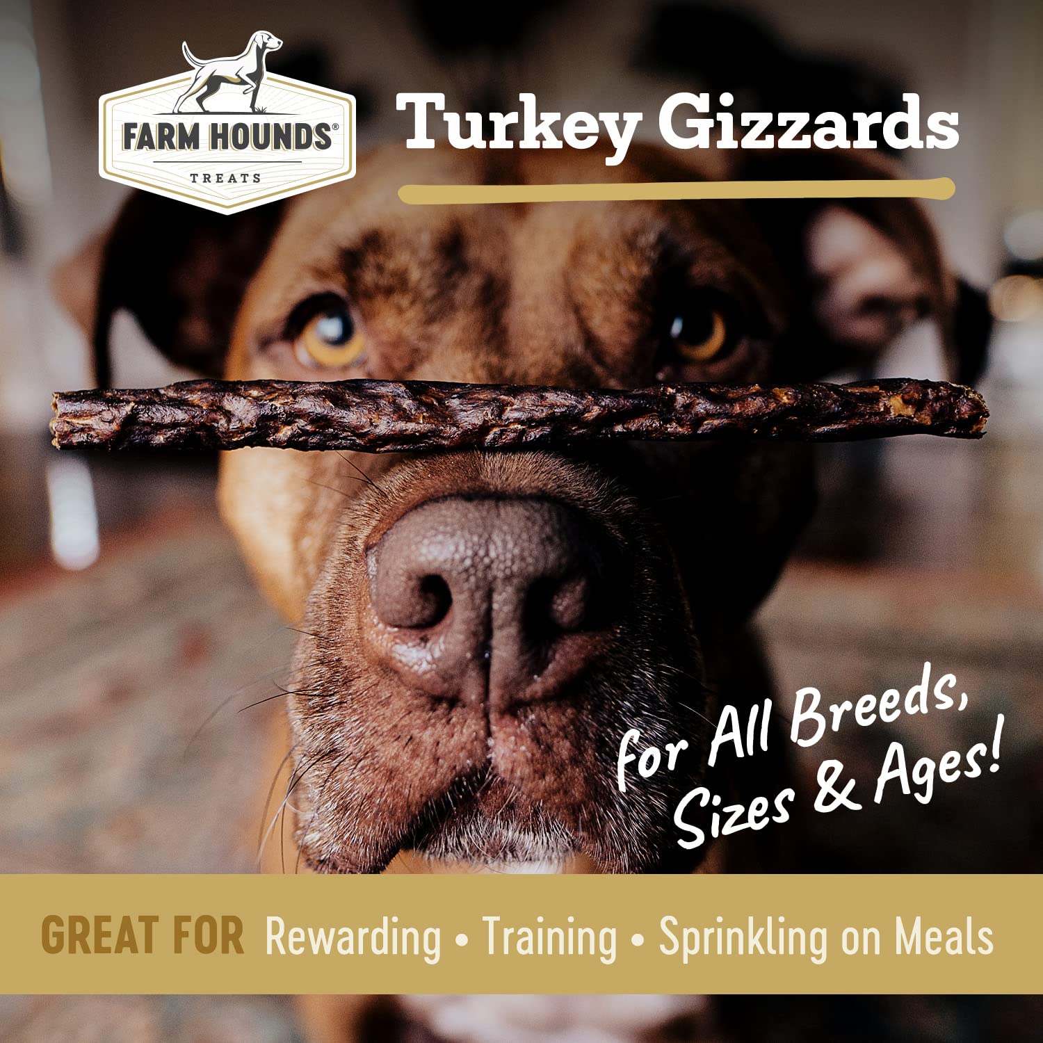 Farm Hounds - Turkey Gizzards - Premium Natural Jerky for Dogs - 100% Humanely Raised Turkey - Break-to-Size - Great for Trainin