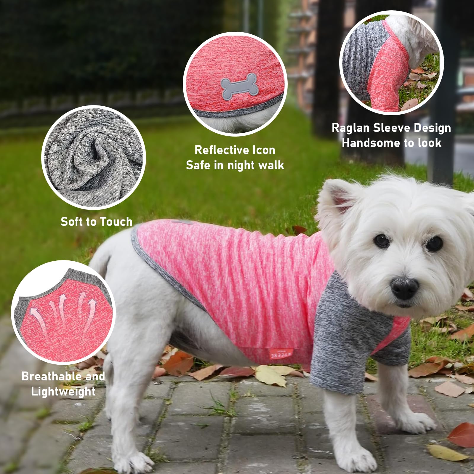 Kyeese 2 Pack Dog Shirts Quick Dry Lightweight Stretchy Dog T-Shirts With Reflective Label Raglan Sleeve Sun Protection Pet Clot