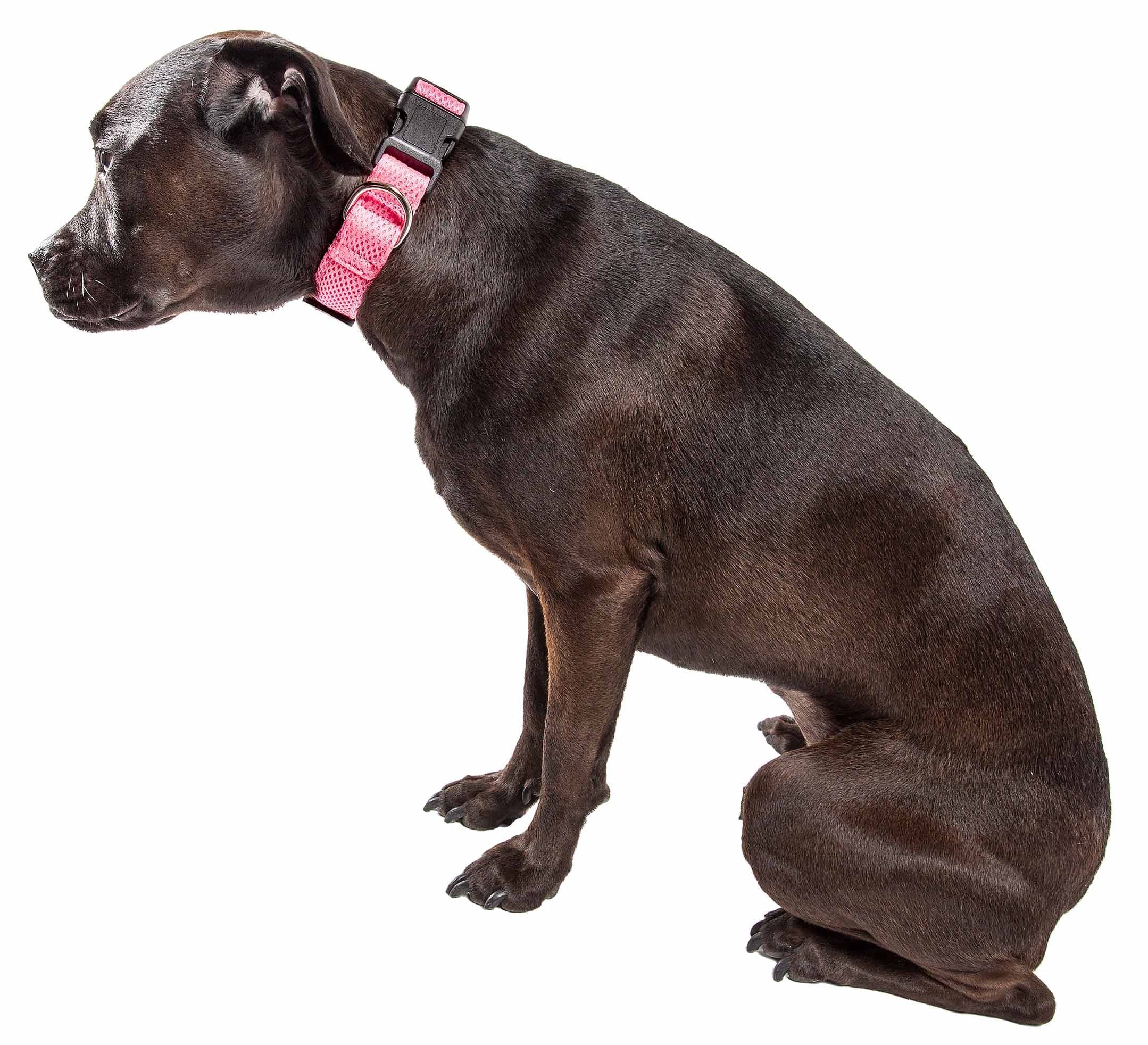 Pet Life 'Aero Mesh' 360 Degree Dual Sided Comfortable And Breathable Adjustable Mesh Dog Collar(D0102H70Hya.)