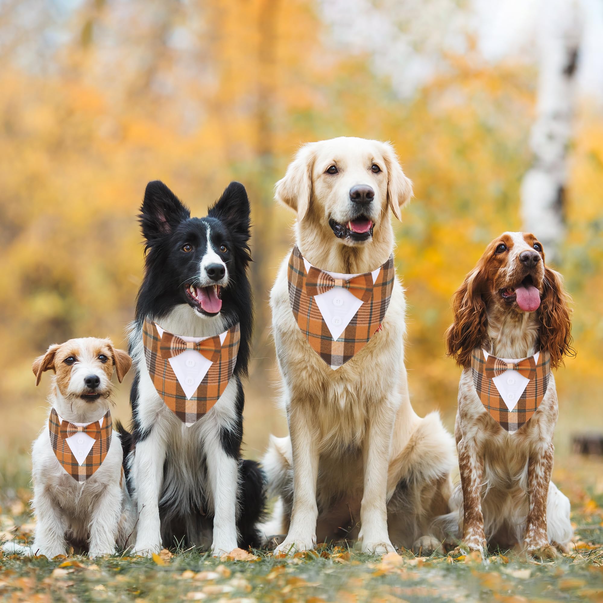 Adoggygo Fall Dog Tuxedo Bandana, Orange Plaid Dog Tux Collar With Bowtie Adjustable Dog Halloween Thanksgiving Formal Costume For Medium Dogs Pets (M, Fall)