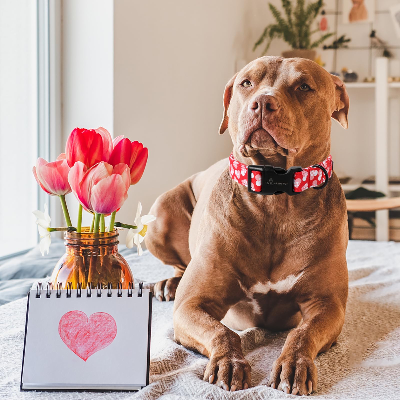 Aring Pet Valentine'S Day Dog Collar-Cotton Heart Dog Collars, Adjustable Valentine Heart Pet Collars Puppy Collar With Quick Re