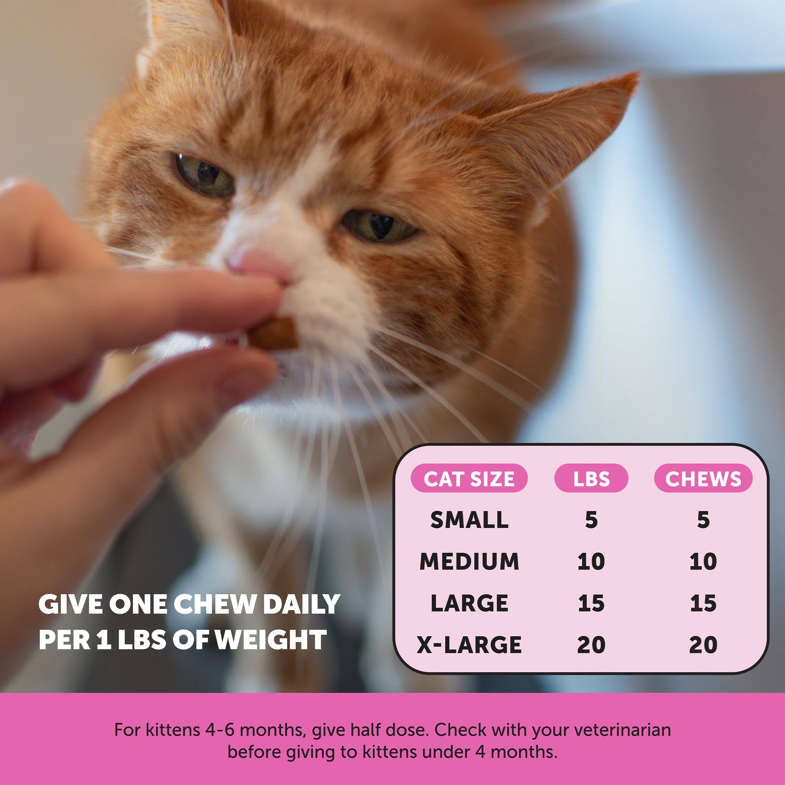 Pet Honesty Cat Multivitamin Chews - Cat Treats for Health + Immune, Cat Joint Support, Skin & Coat, and Digestion | Omega 3s, L