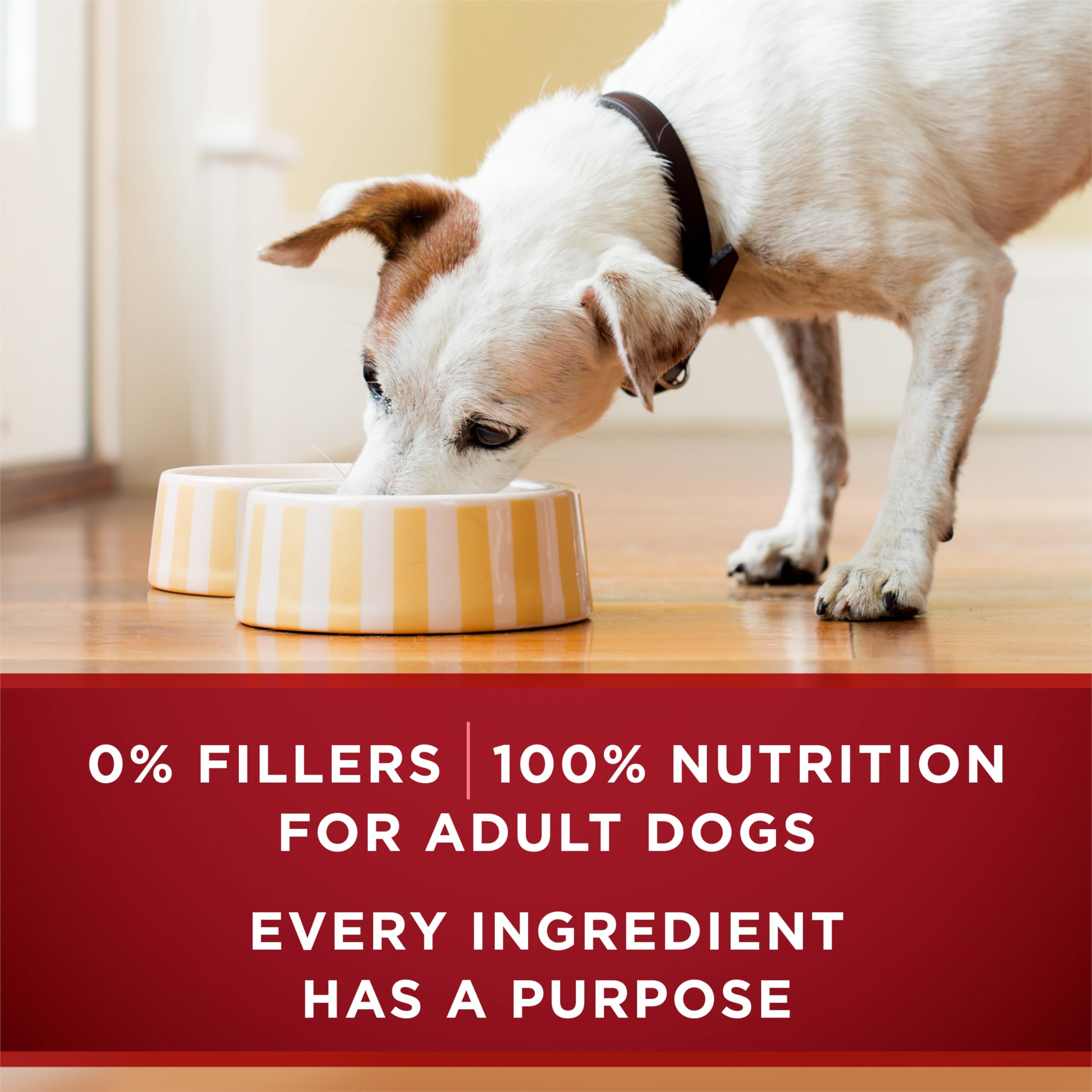 Purina ONE True Instinct Tender Cuts in Gravy with Real Turkey and Venison, and with Real Chicken and Duck High Protein Wet Dog