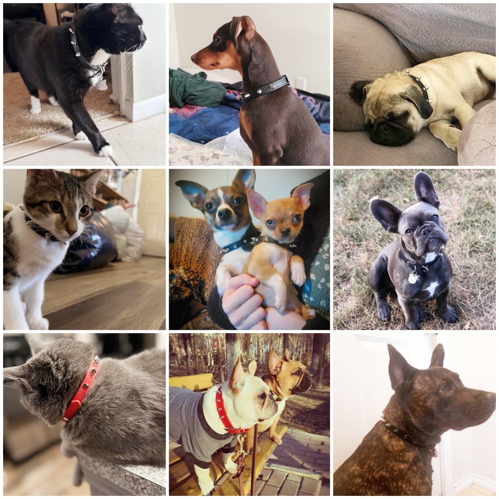 Enjoying Spiked Cat Collar, Leather Spikes Dog Collars For Cats Small Dogs, Adjustable Pet Collar With Rings, Black S