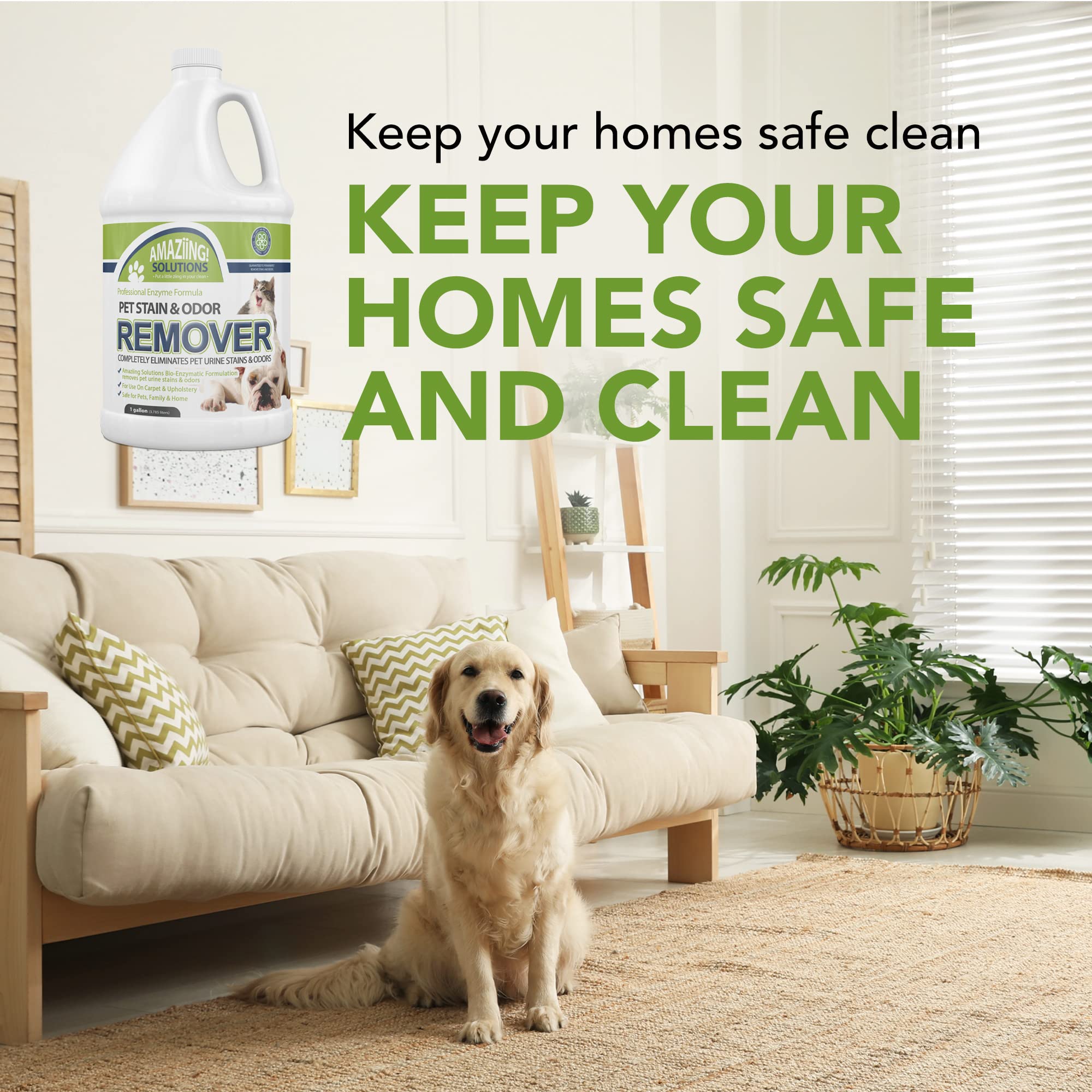Amaziing Solutions Pet Stain And Odor Remover - Enzyme Cleaner, Pet Urine Odor Eliminator Refill - Floor & Carpet Cleaner, Pet Deodorizers For Home, Fabric Freshener W/Fresh, Clean Scent, 1 Gallon