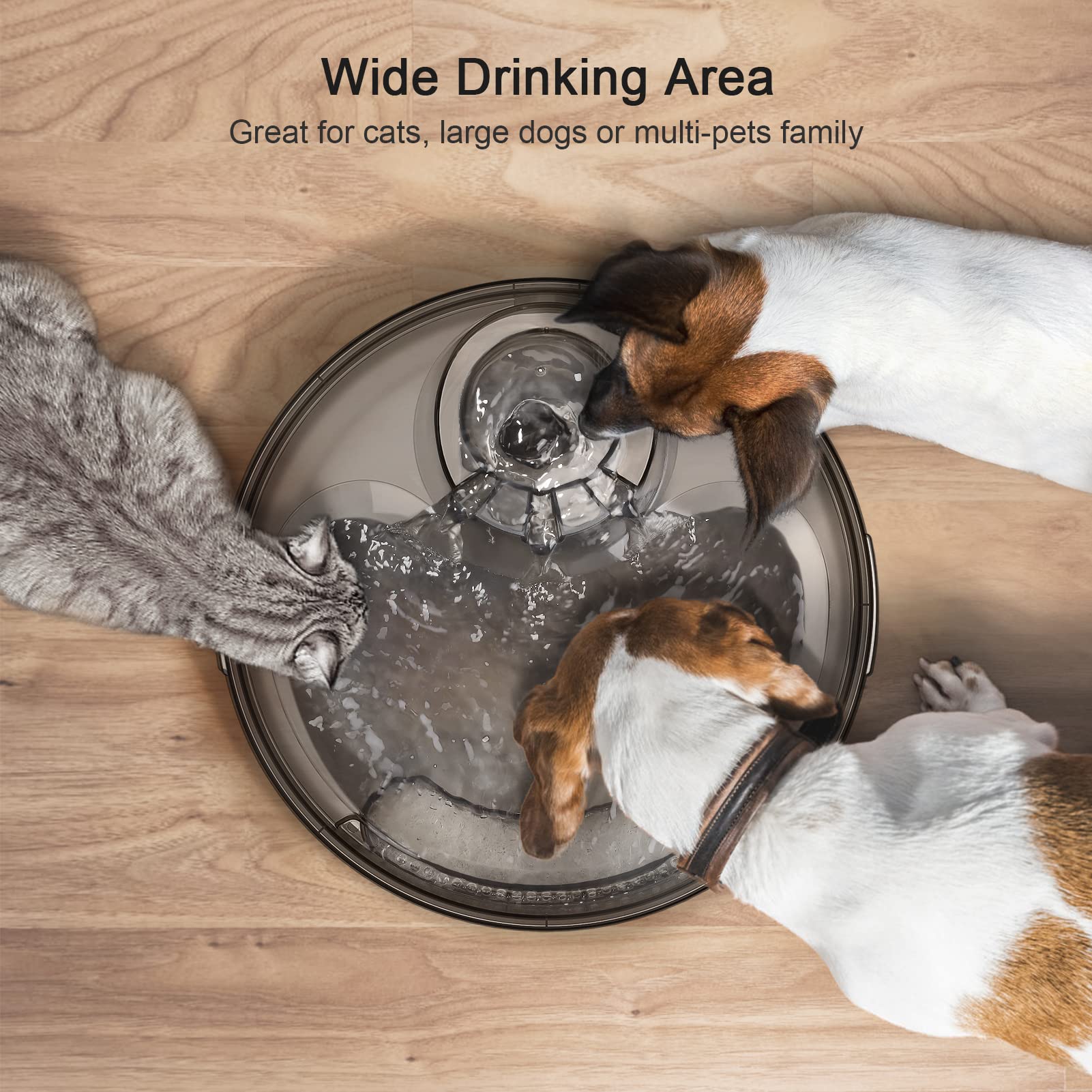 NPET DF10 170oz/1.3Gallon/5L Large Automatic Pet Water Dispenser Water Fountain with Cleaning Kit, Replacement Filter for Cat, D