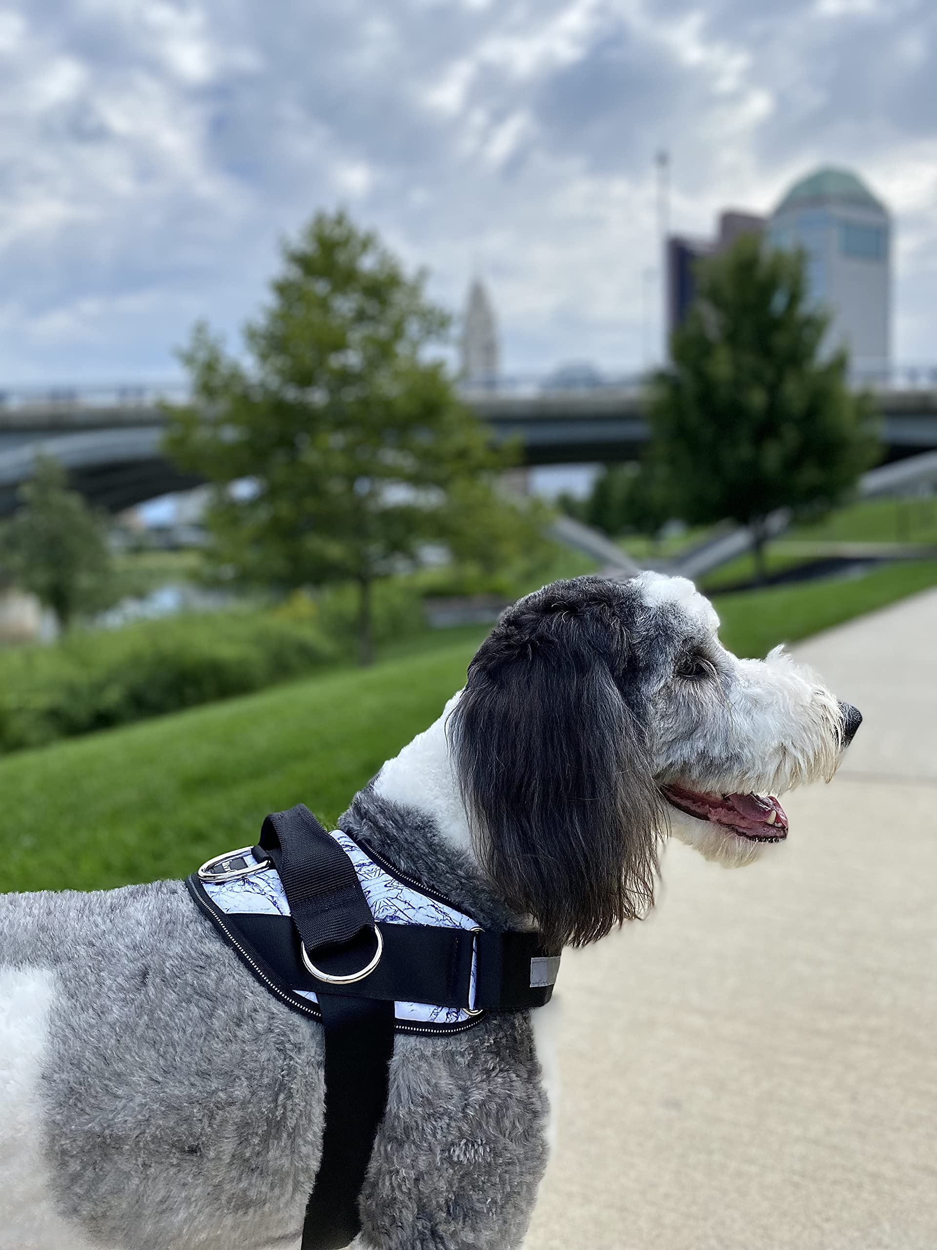 Shawnco Essential Dog Harness, No-Pull Pet Vest With 3 Leash Clips, No Choke, Reflective, Adjustable And Padded, For Easy Walking And Training For Small, Medium And Large Dogs (White Marble, S)