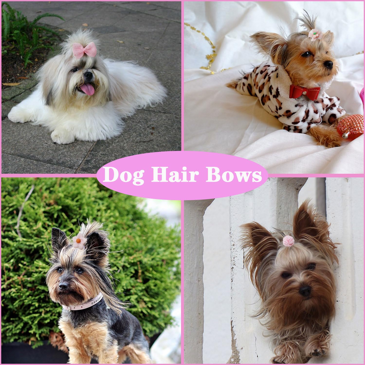 Zaabaazina 20Pcs Dog Hair Bows, Cute Puppy Hair Bows Flowers Bowknot Hairball Cherry Mix Styles, Pet Grooming Rubber Bands, Dogs